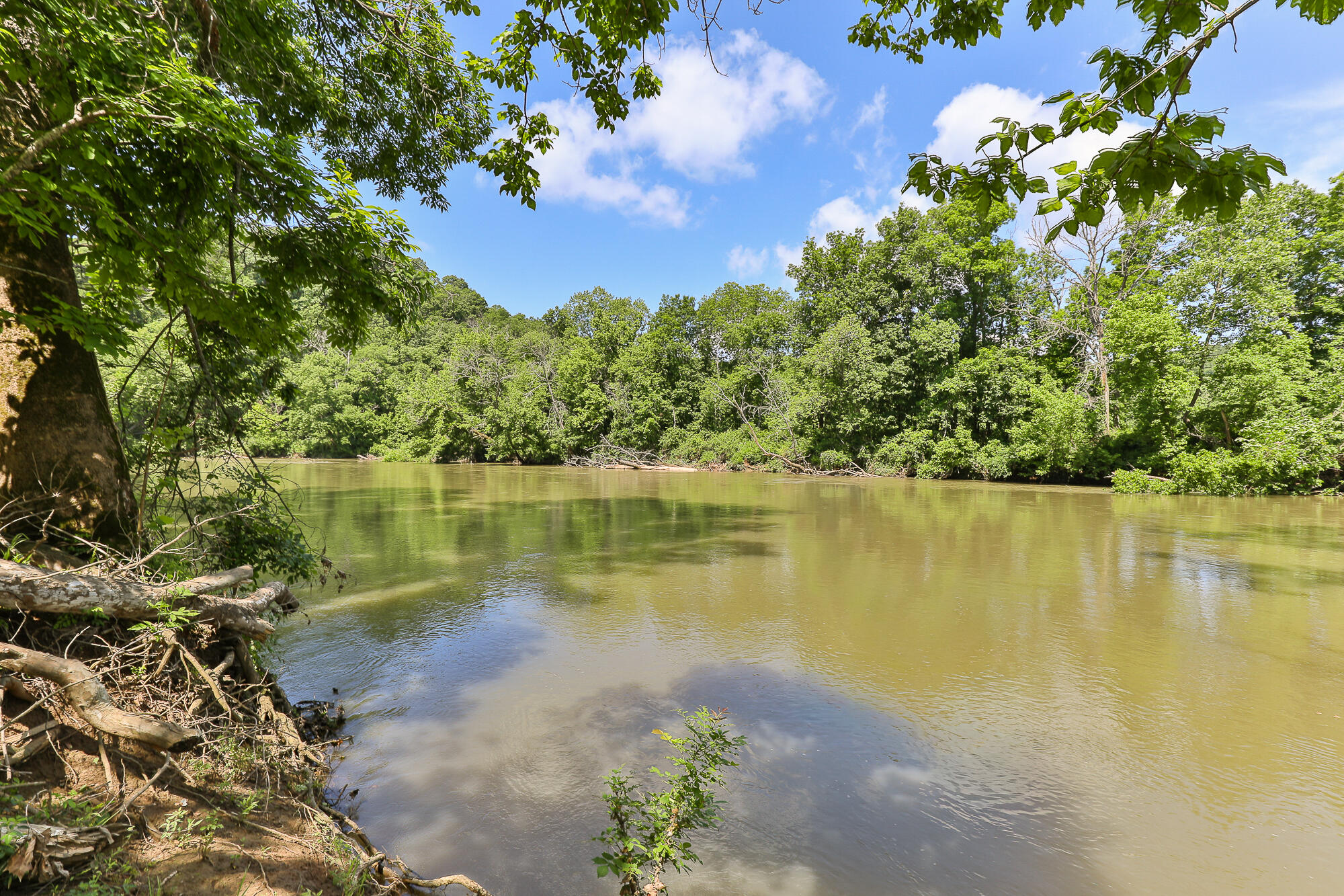 811 Rainbow Valley Drive Property Photo 7