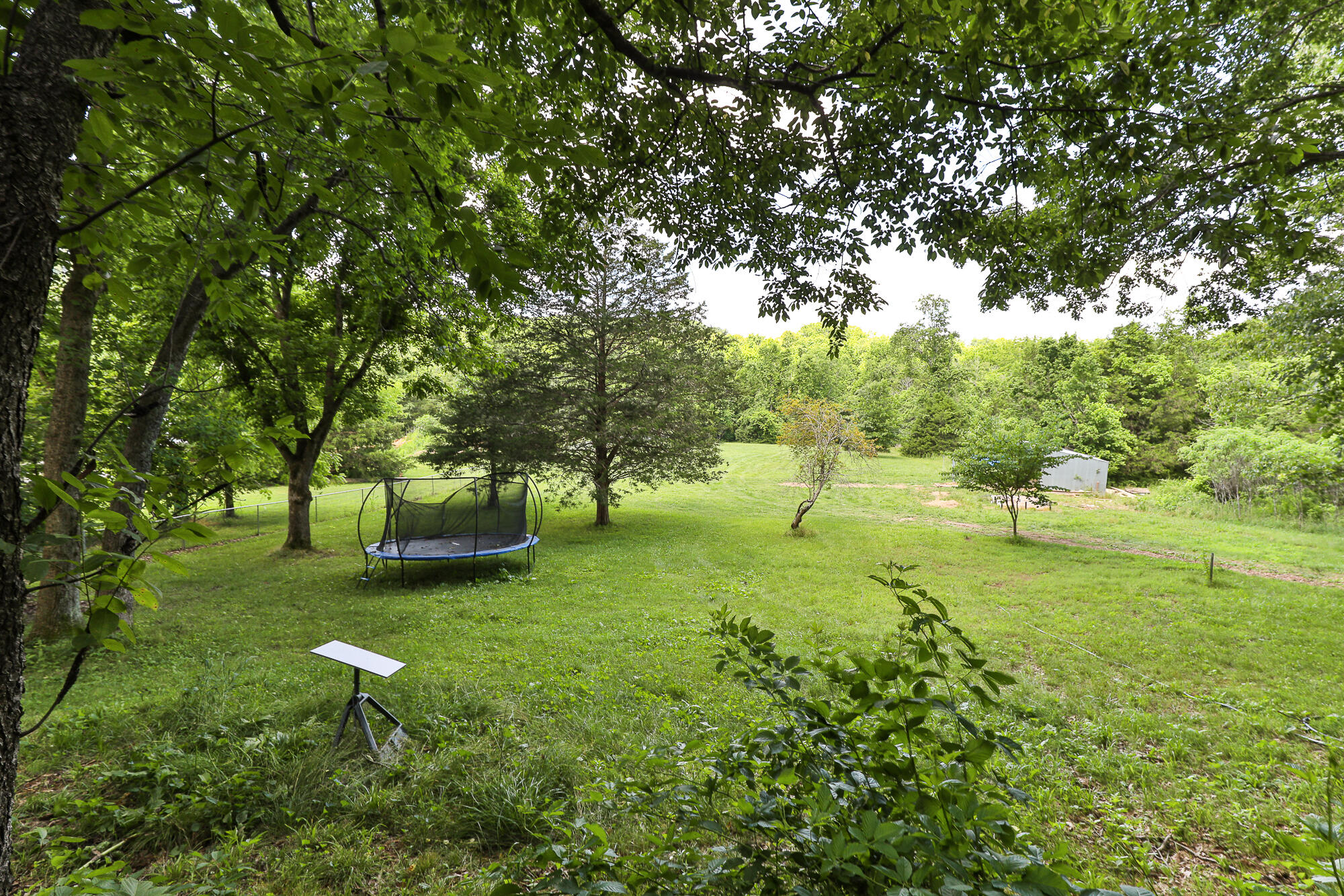 811 Rainbow Valley Drive Property Photo 45