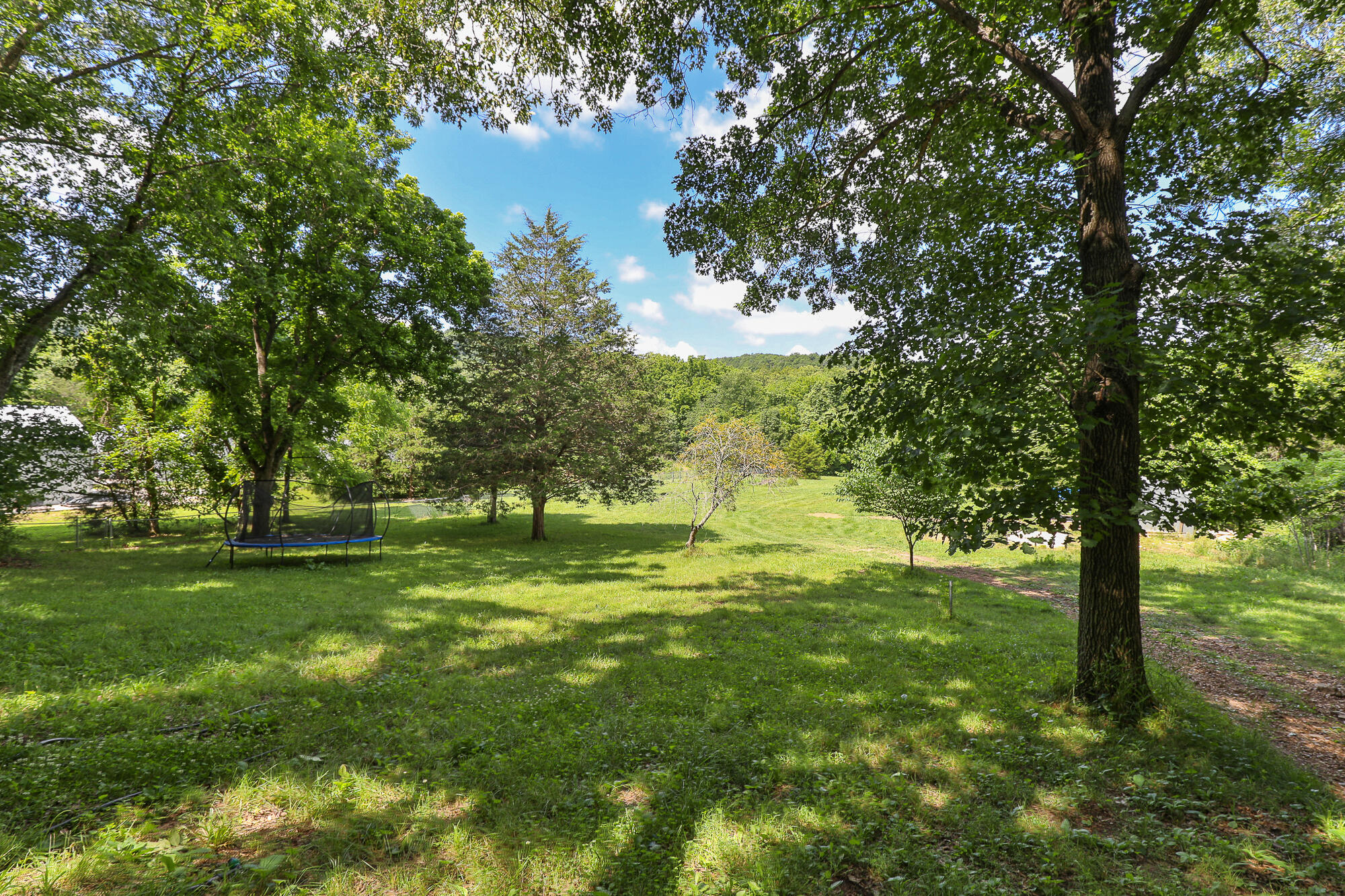 811 Rainbow Valley Drive Property Photo 46