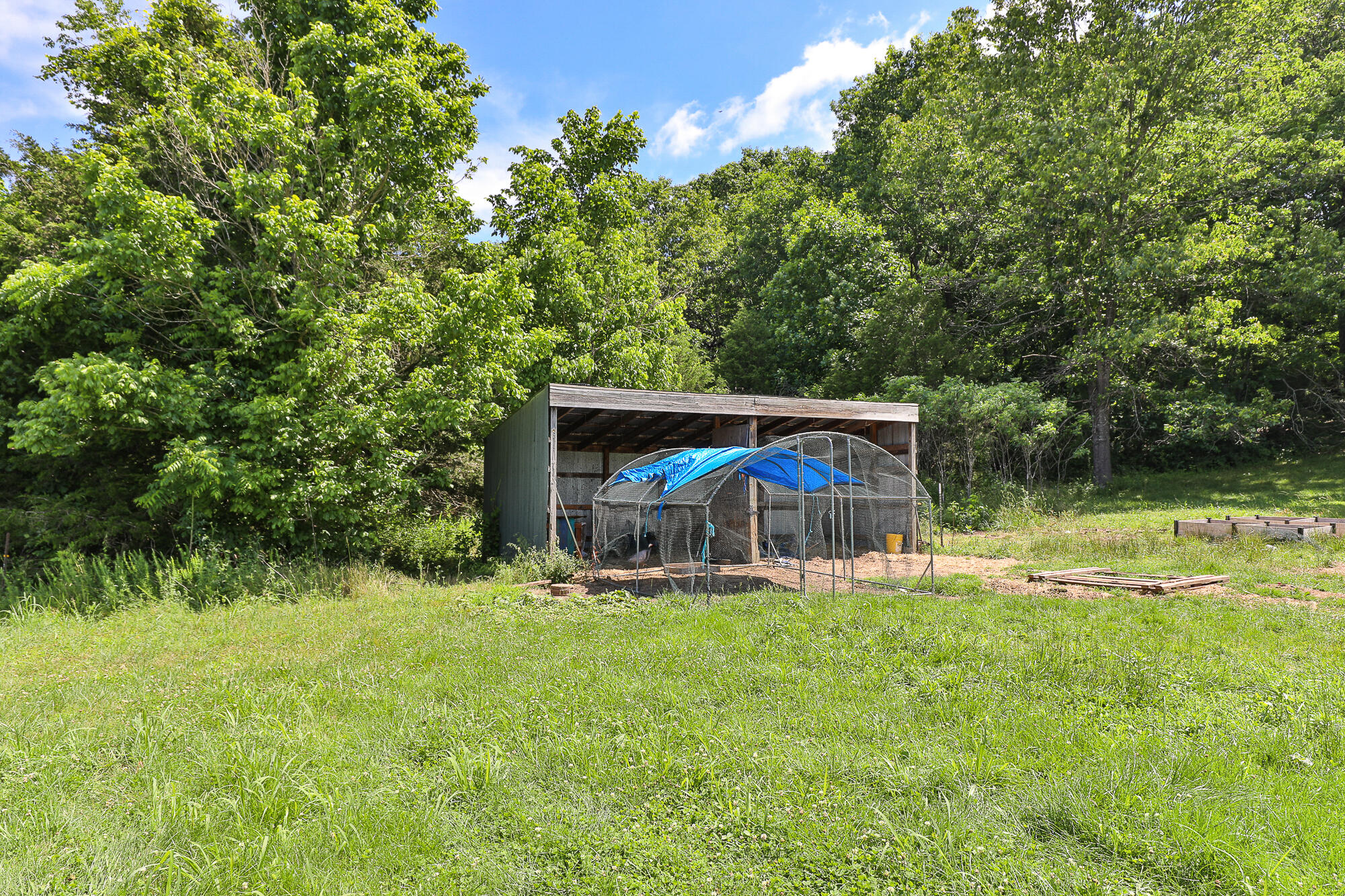 811 Rainbow Valley Drive Property Photo 47