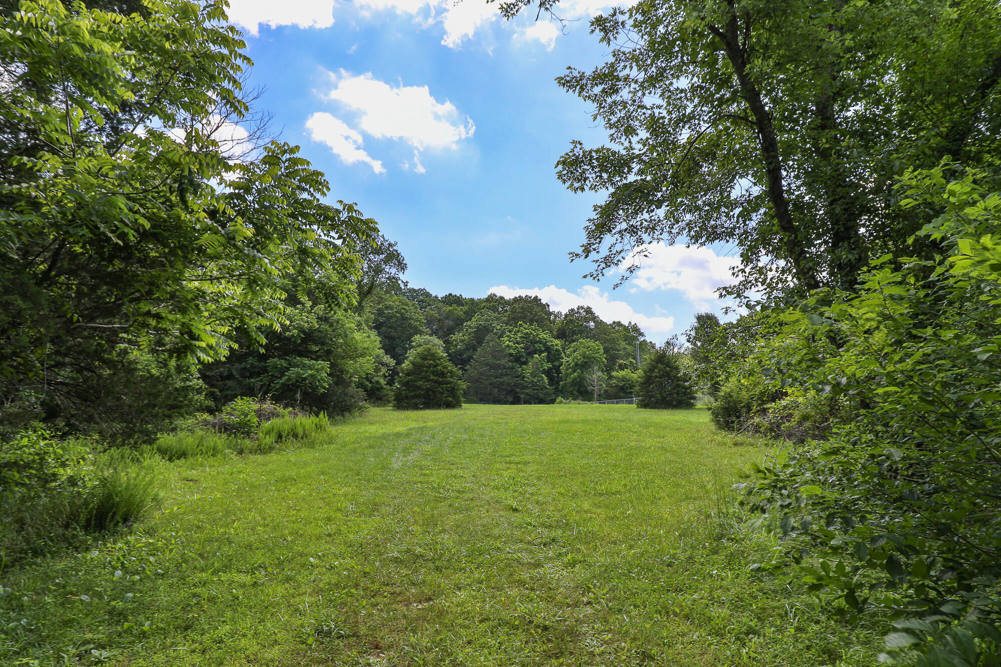 811 Rainbow Valley Drive Property Photo 48