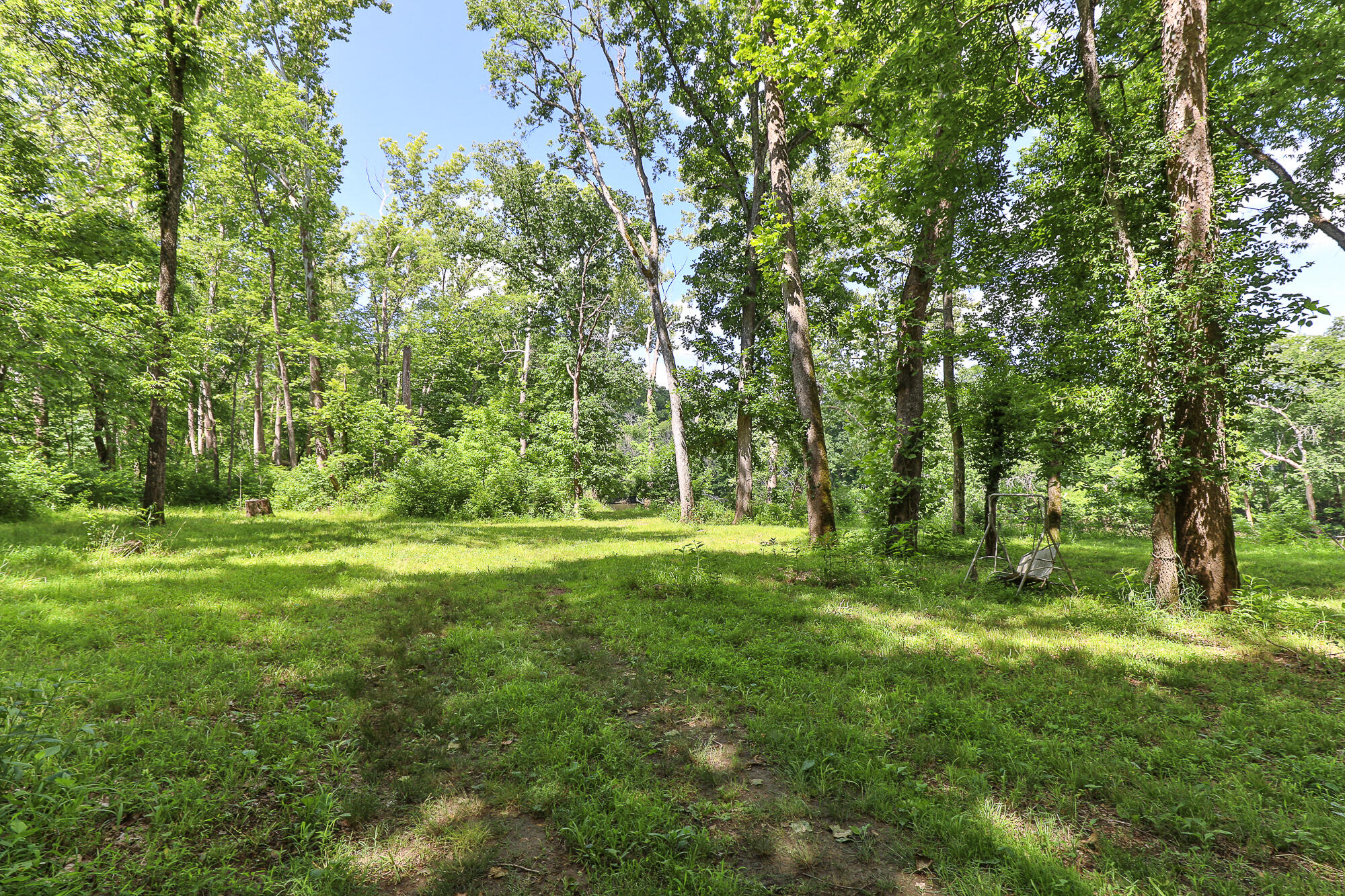 811 Rainbow Valley Drive Property Photo 49