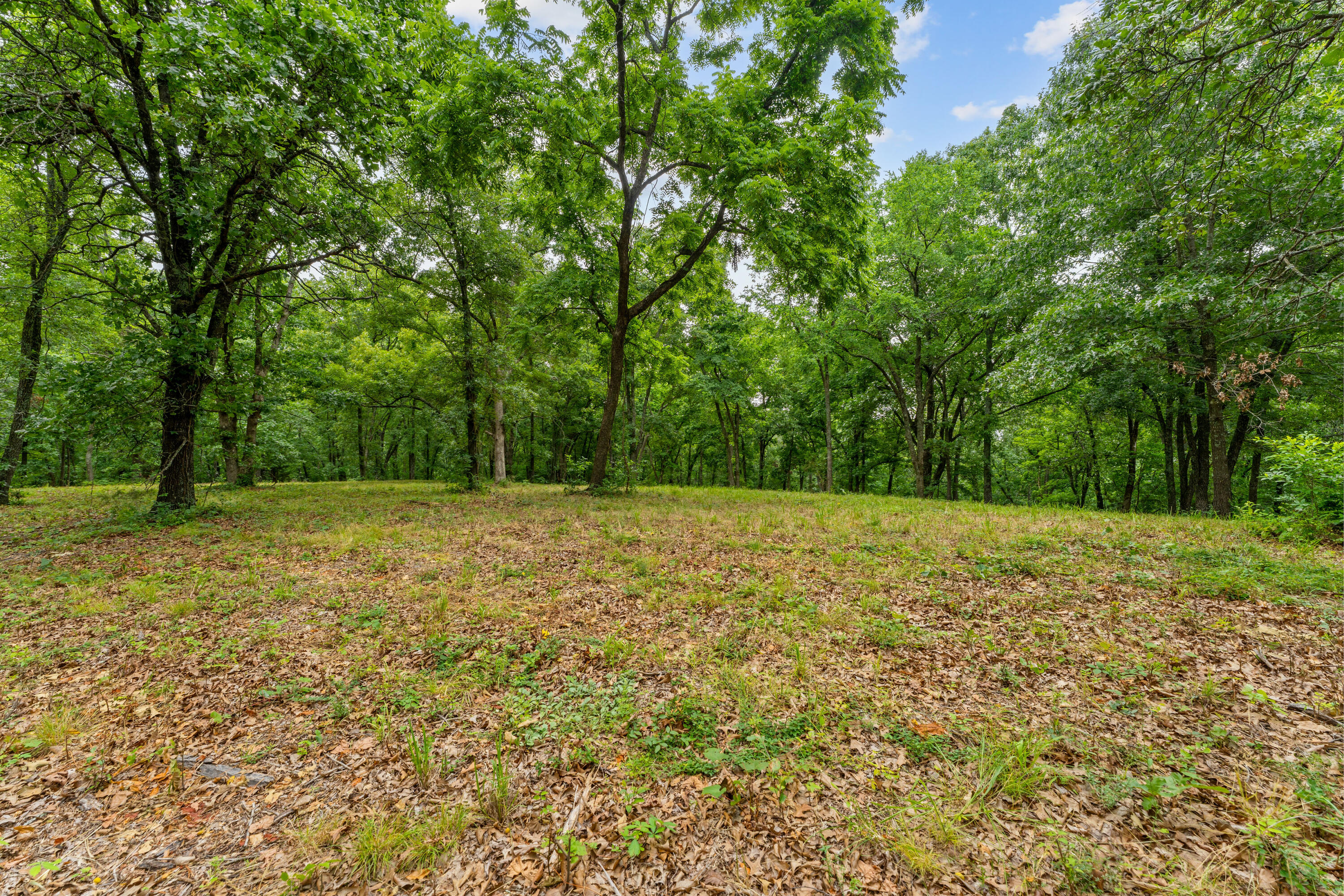 000 State Highway 265 Property Photo 6