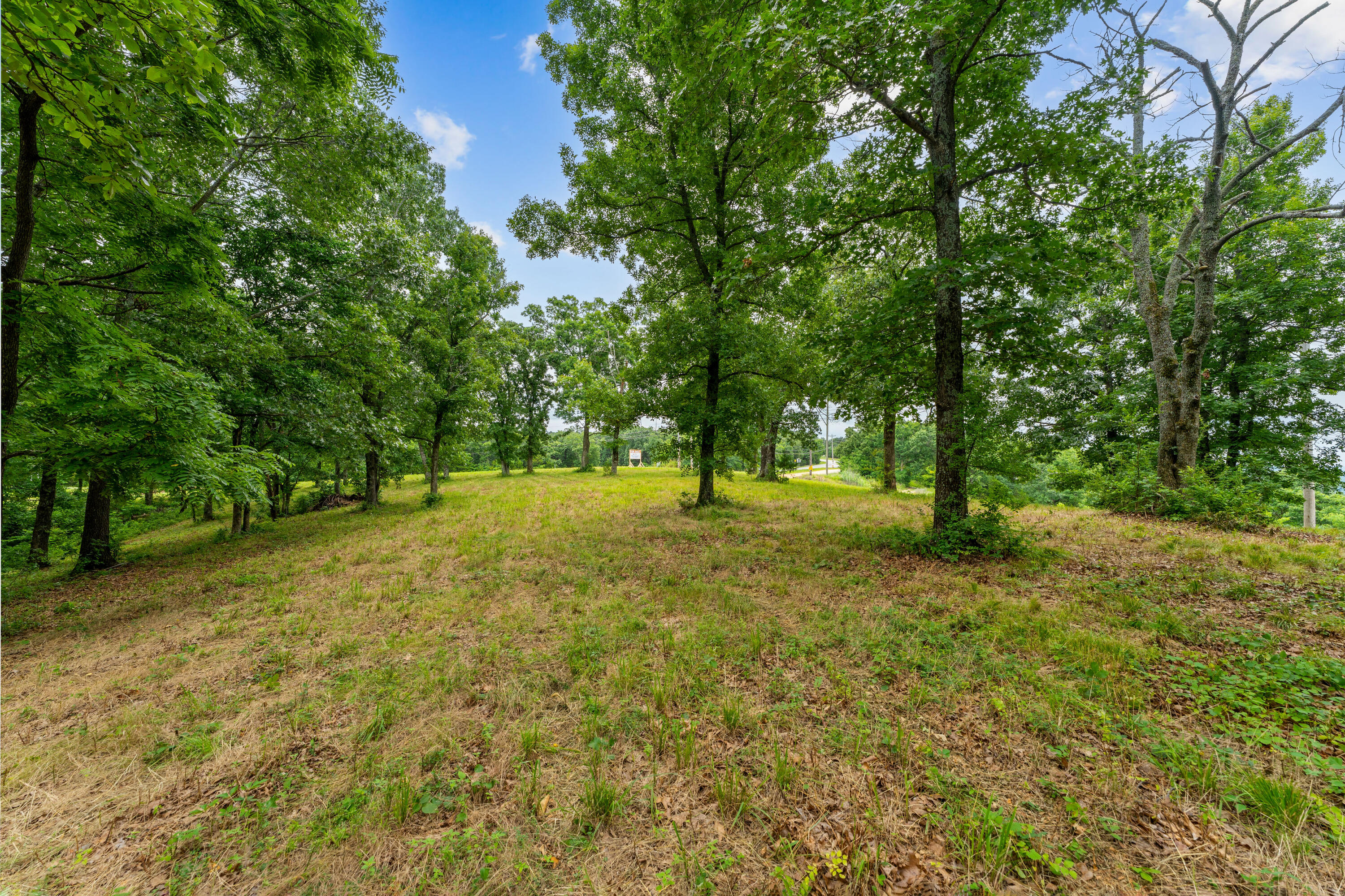 000 State Highway 265 Property Photo 7
