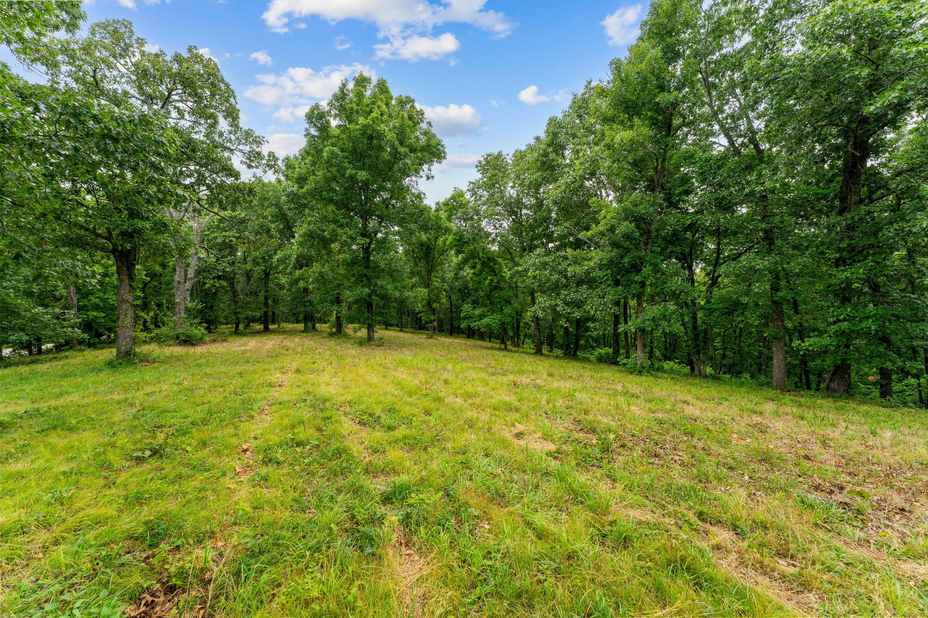 000 State Highway 265 Property Photo 8