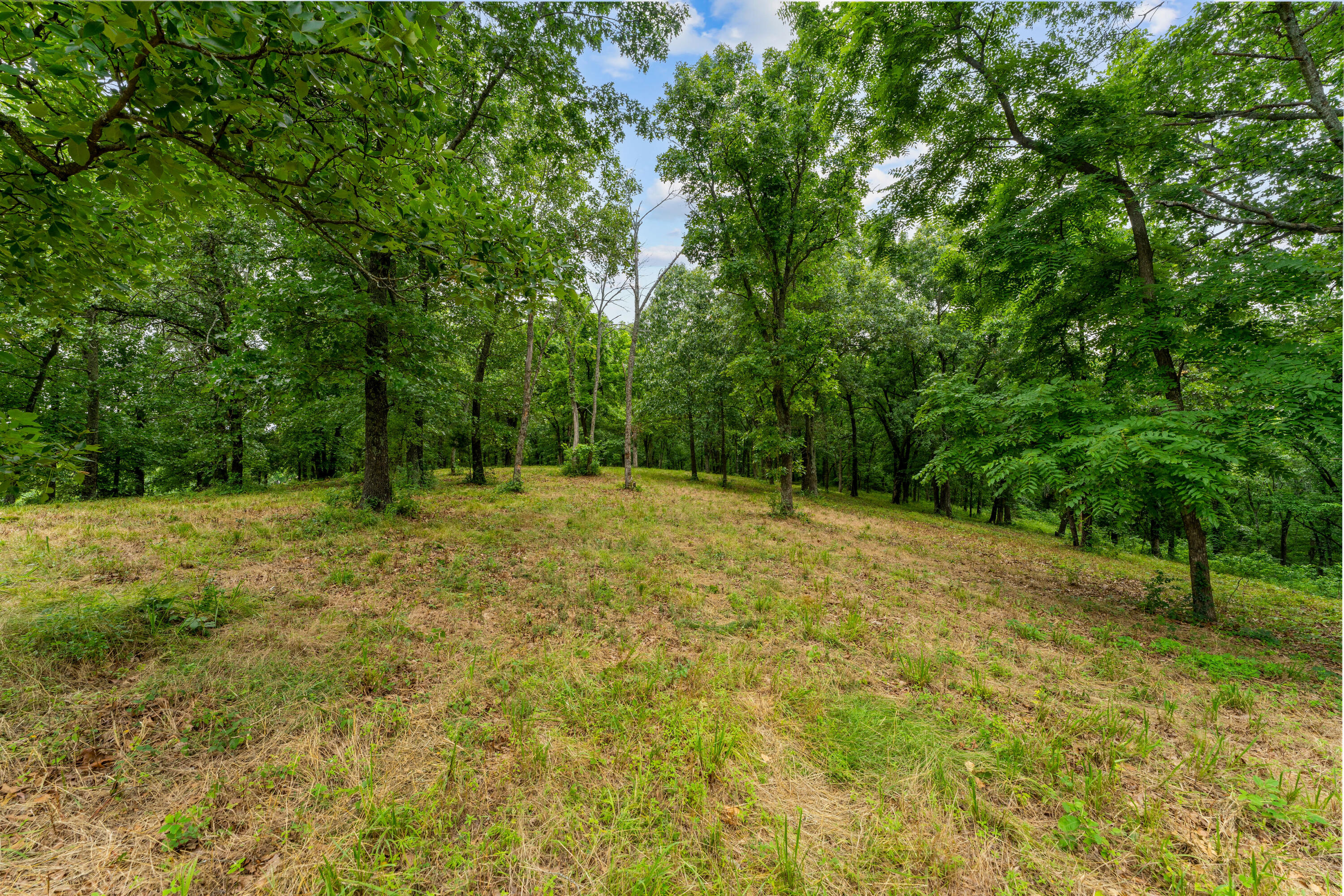 000 State Highway 265 Property Photo 9