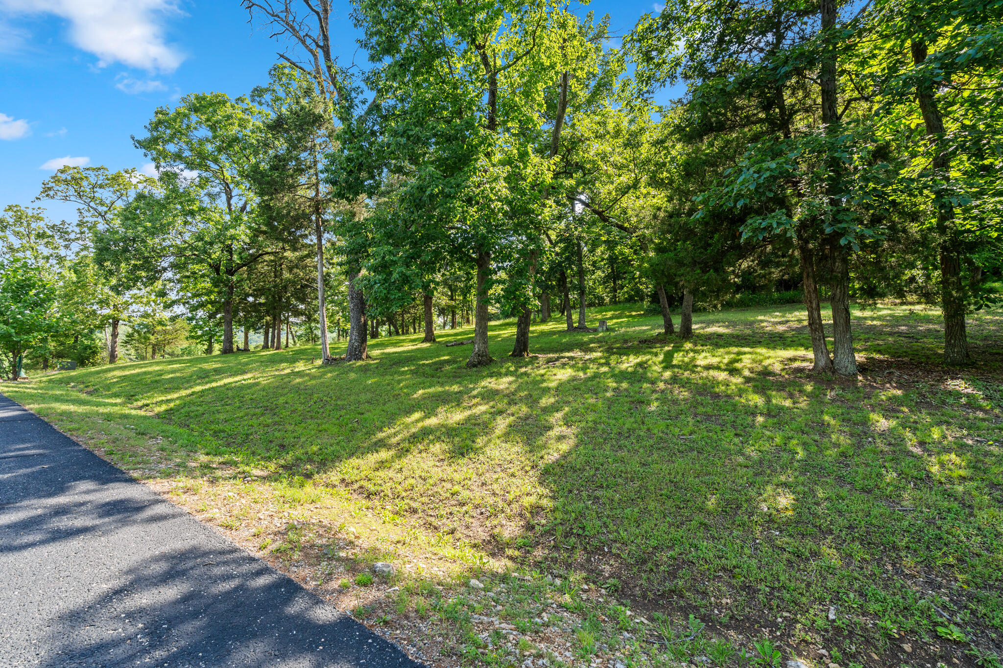 Tbd Cedar Bluff Lot 94 Property Photo 3