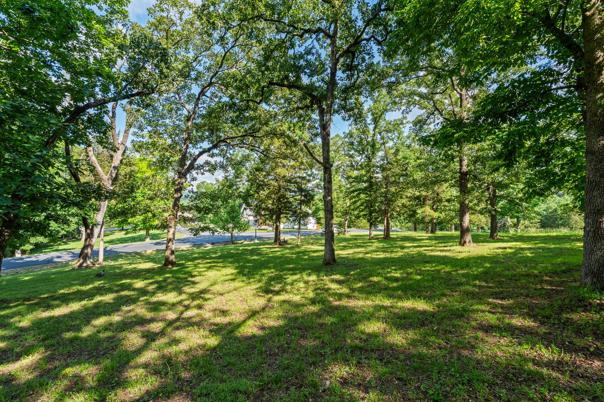 Tbd Cedar Bluff Lot 94 Property Photo 4