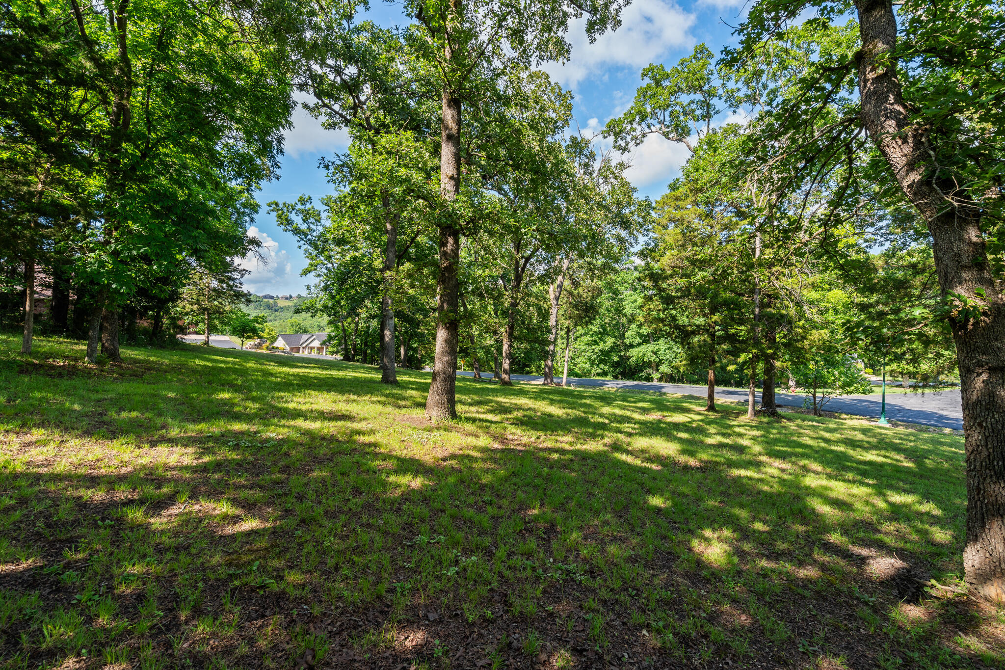 Tbd Cedar Bluff Lot 94 Property Photo 5