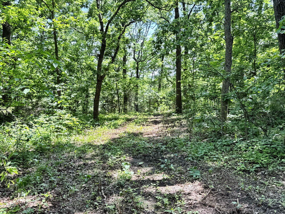 Tbd1 East 1550 Road Property Photo 6