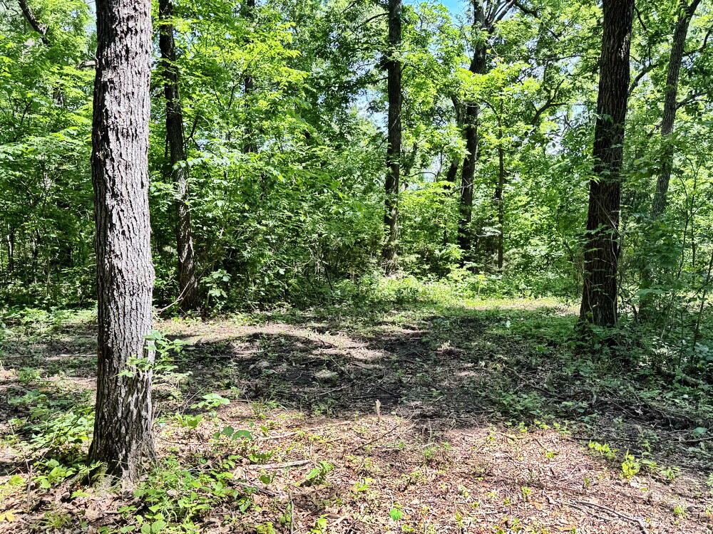 Tbd1 East 1550 Road Property Photo 19