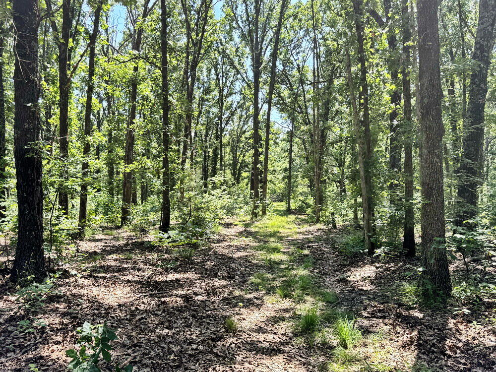 Tbd3 East 1550 Road Property Photo 33