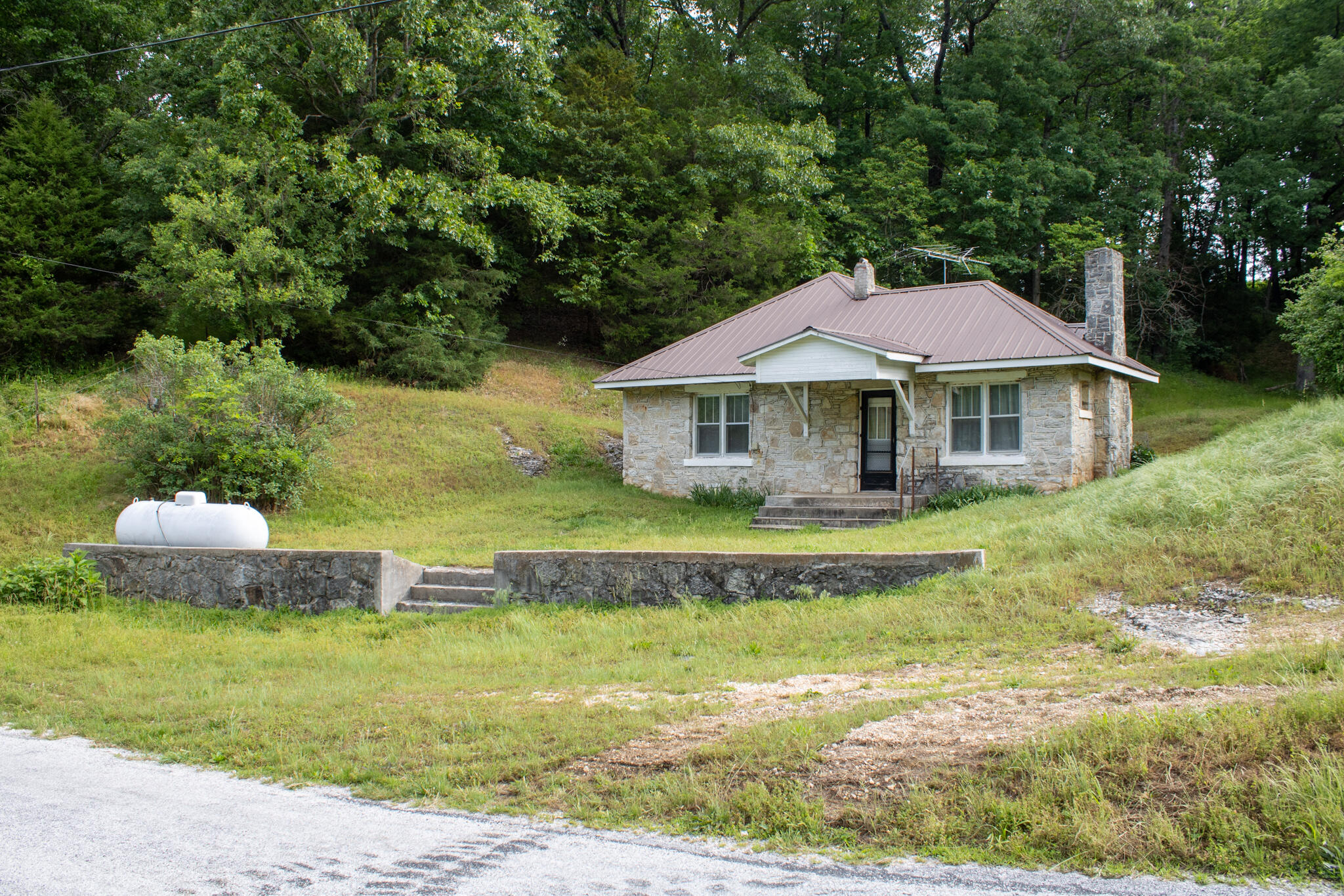 370 Hayes Spring Drive Property Photo 5
