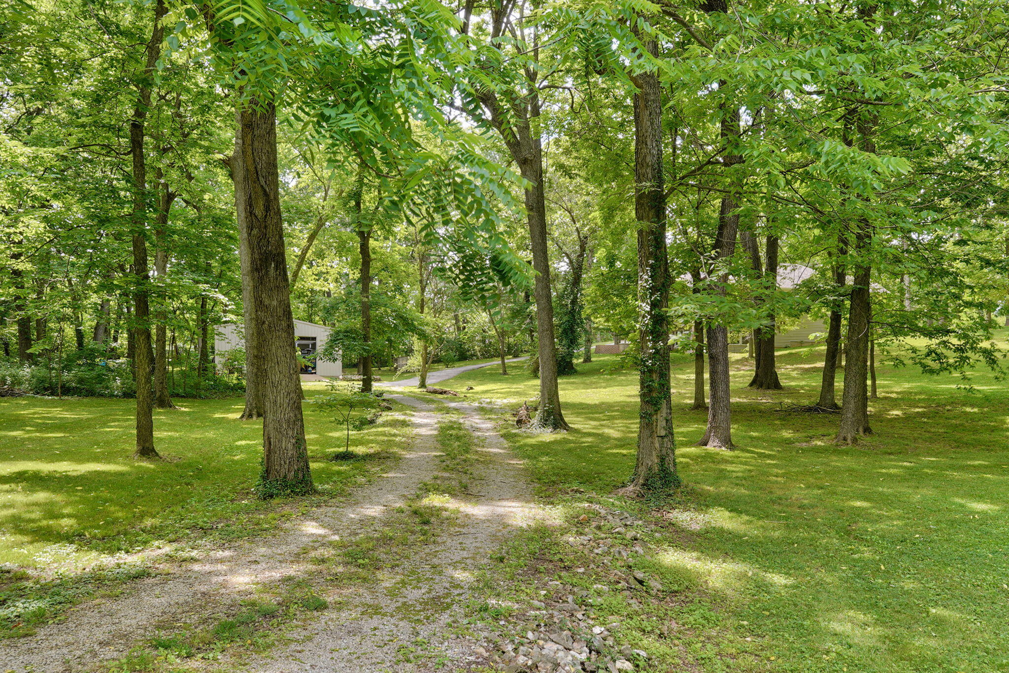 205 Nice Place Road Property Photo 51