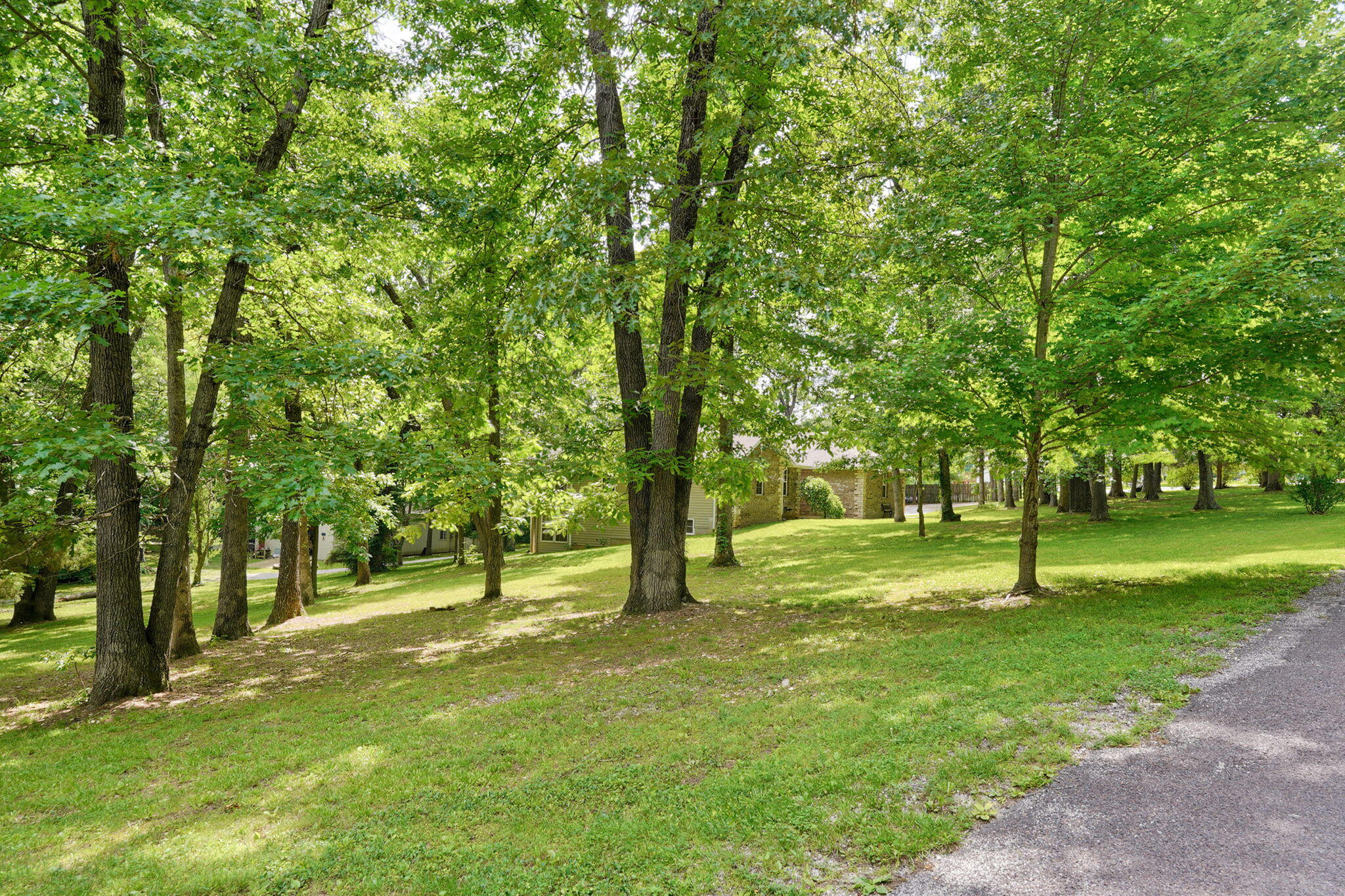 205 Nice Place Road Property Photo 52