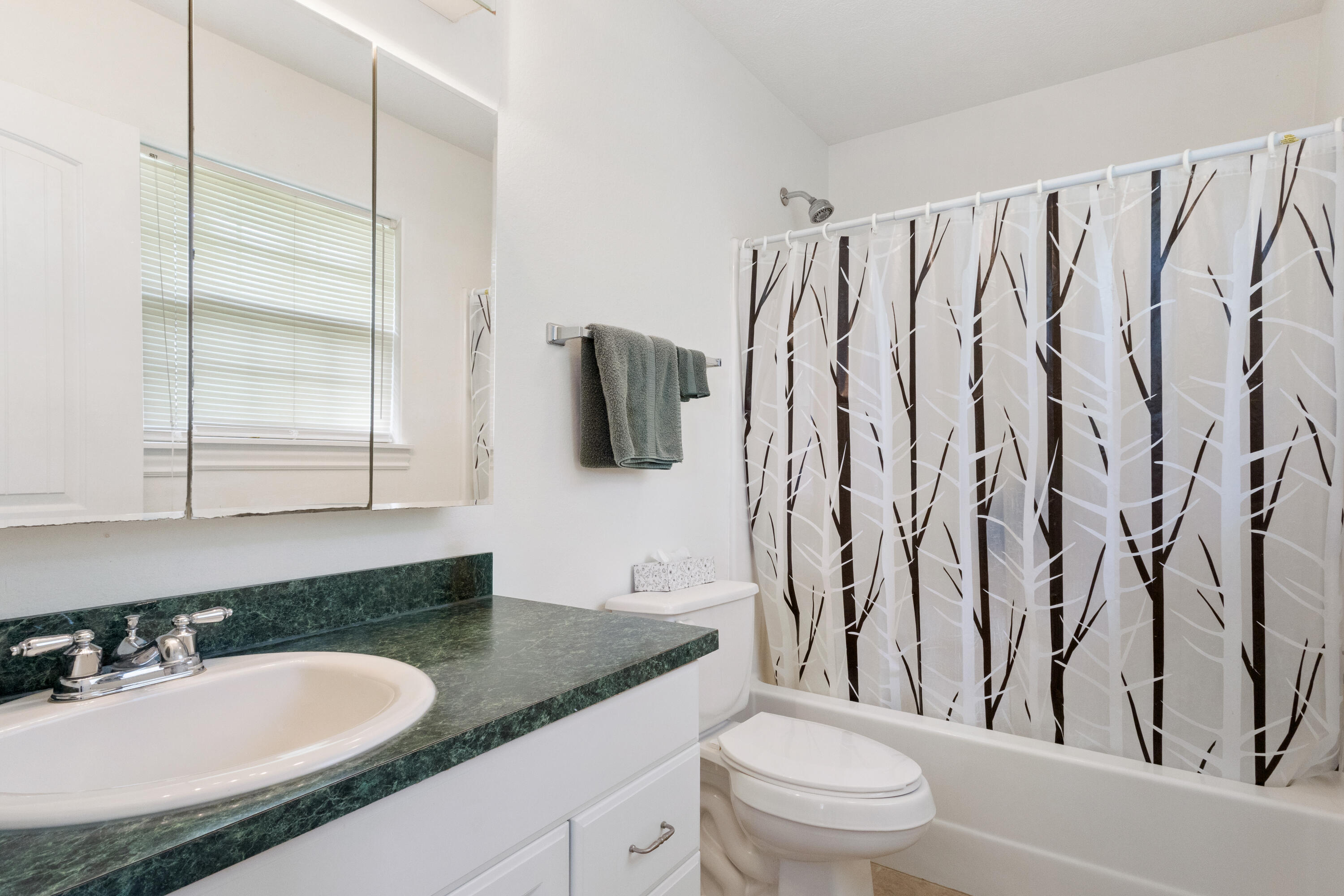 8861 Farm Road 2212 Property Photo 18