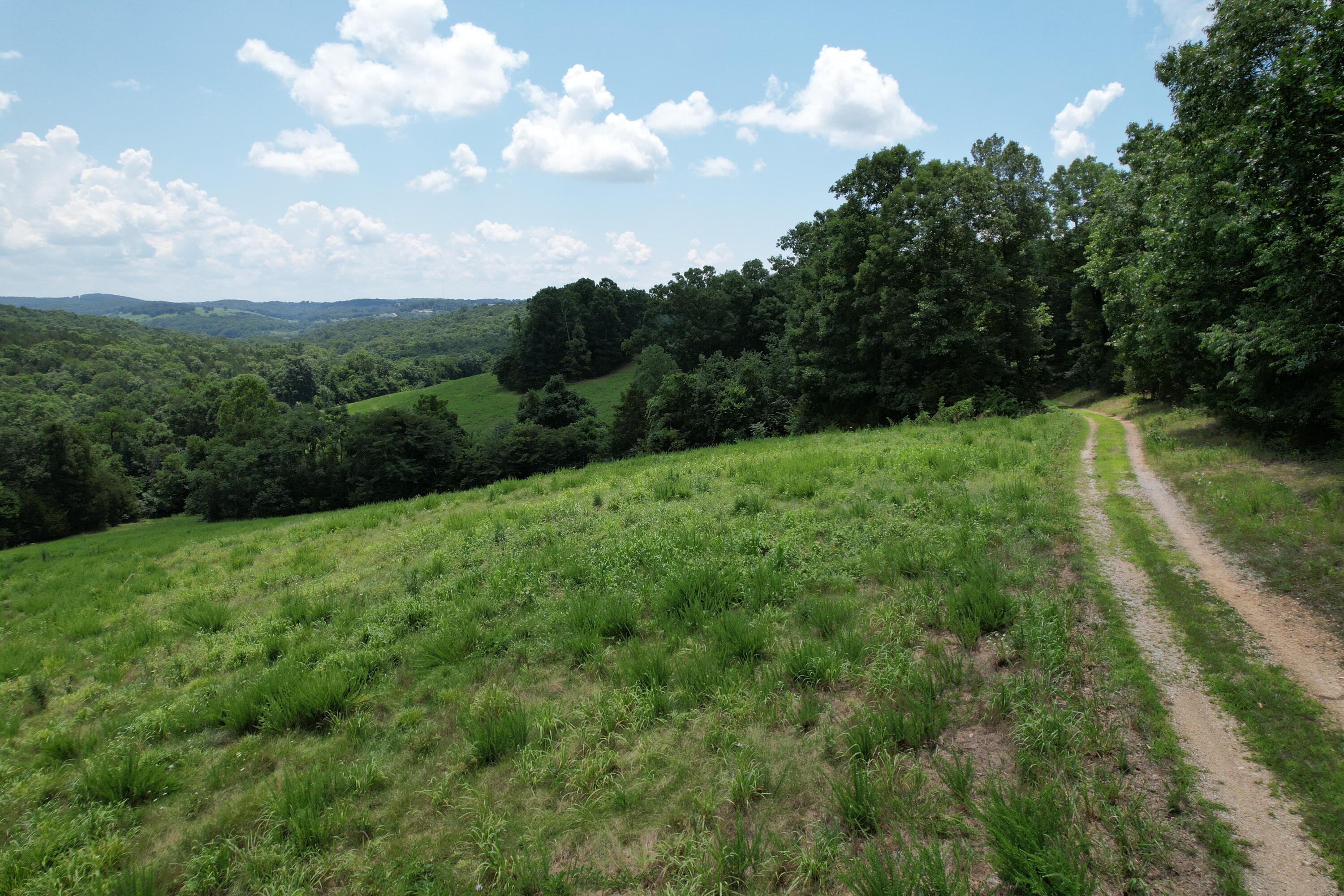 1378 State Hwy D Property Photo 3
