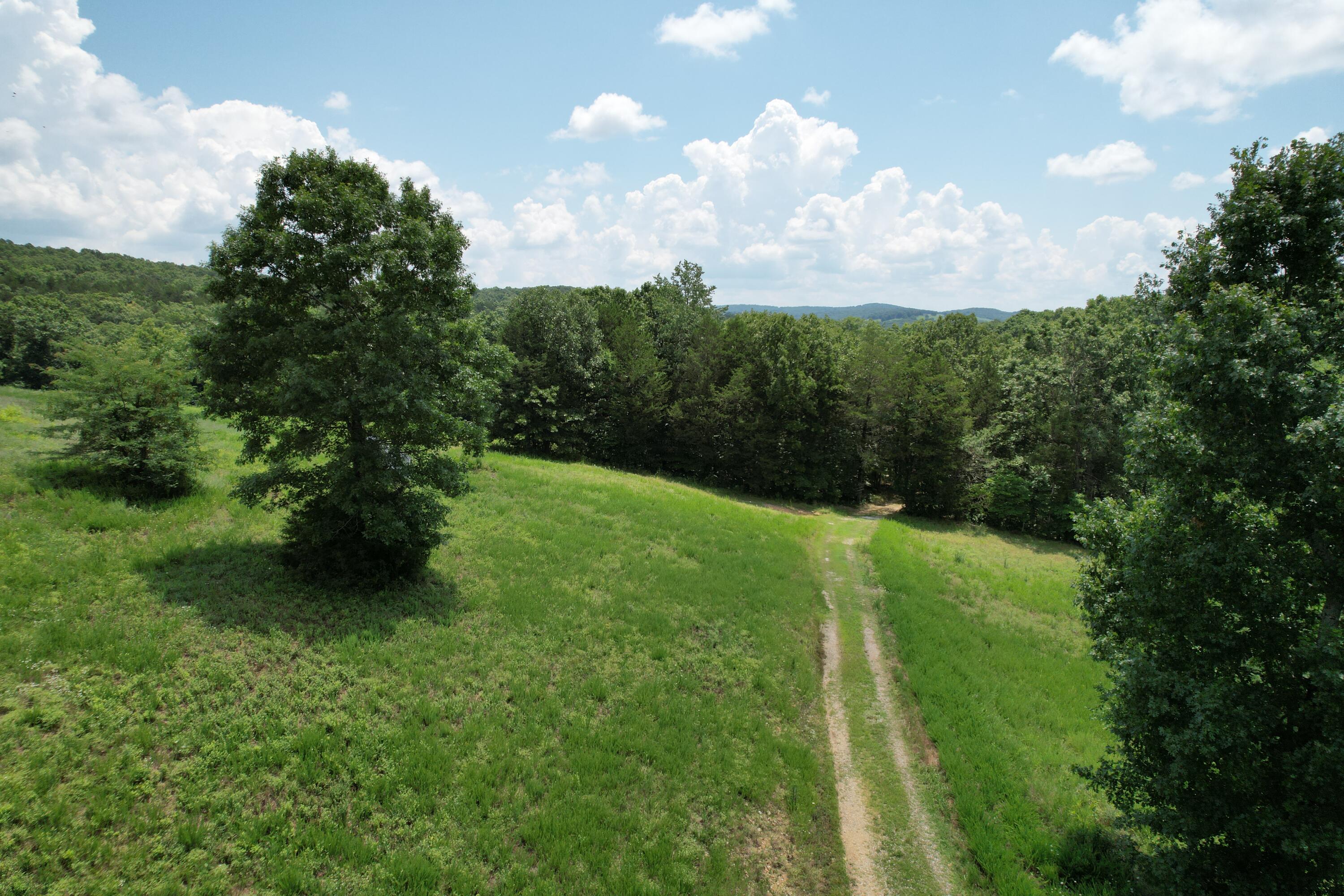 1378 State Hwy D Property Photo 4