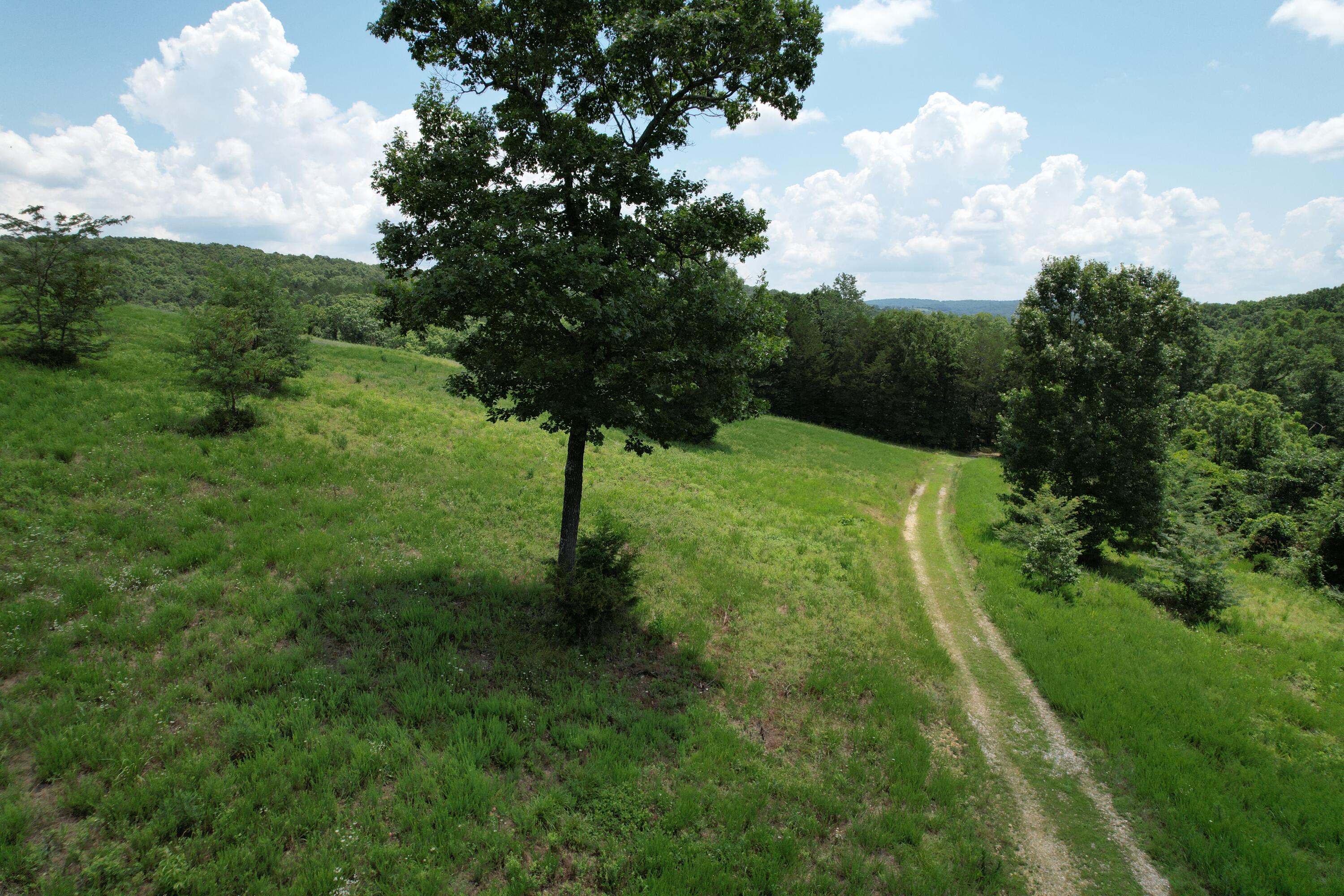 1378 State Hwy D Property Photo 5