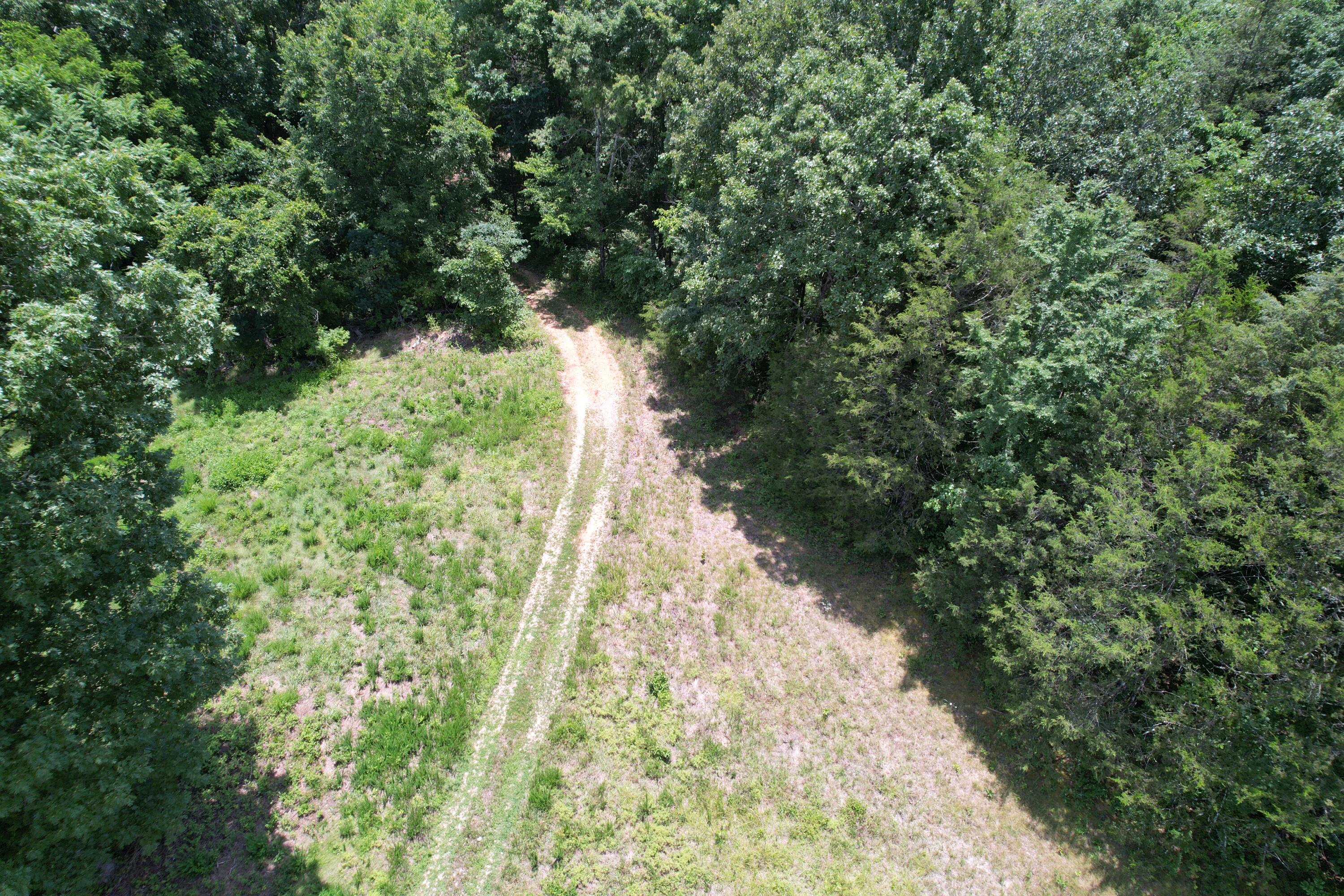 1378 State Hwy D Property Photo 6