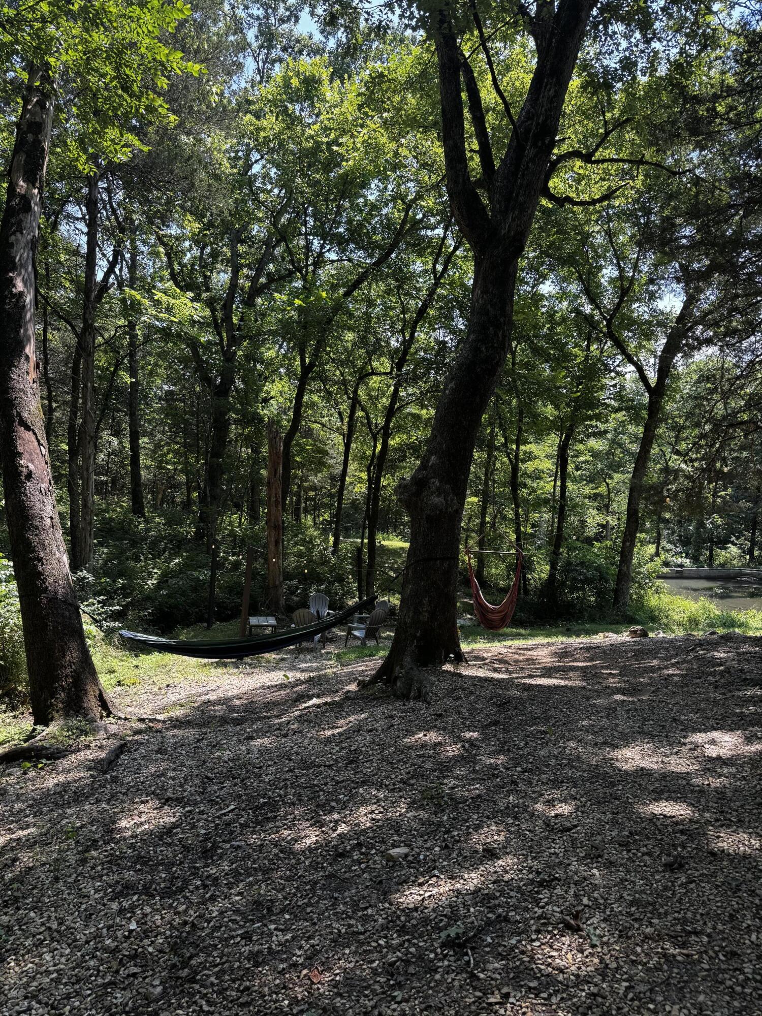 1378 State Hwy D Property Photo 11