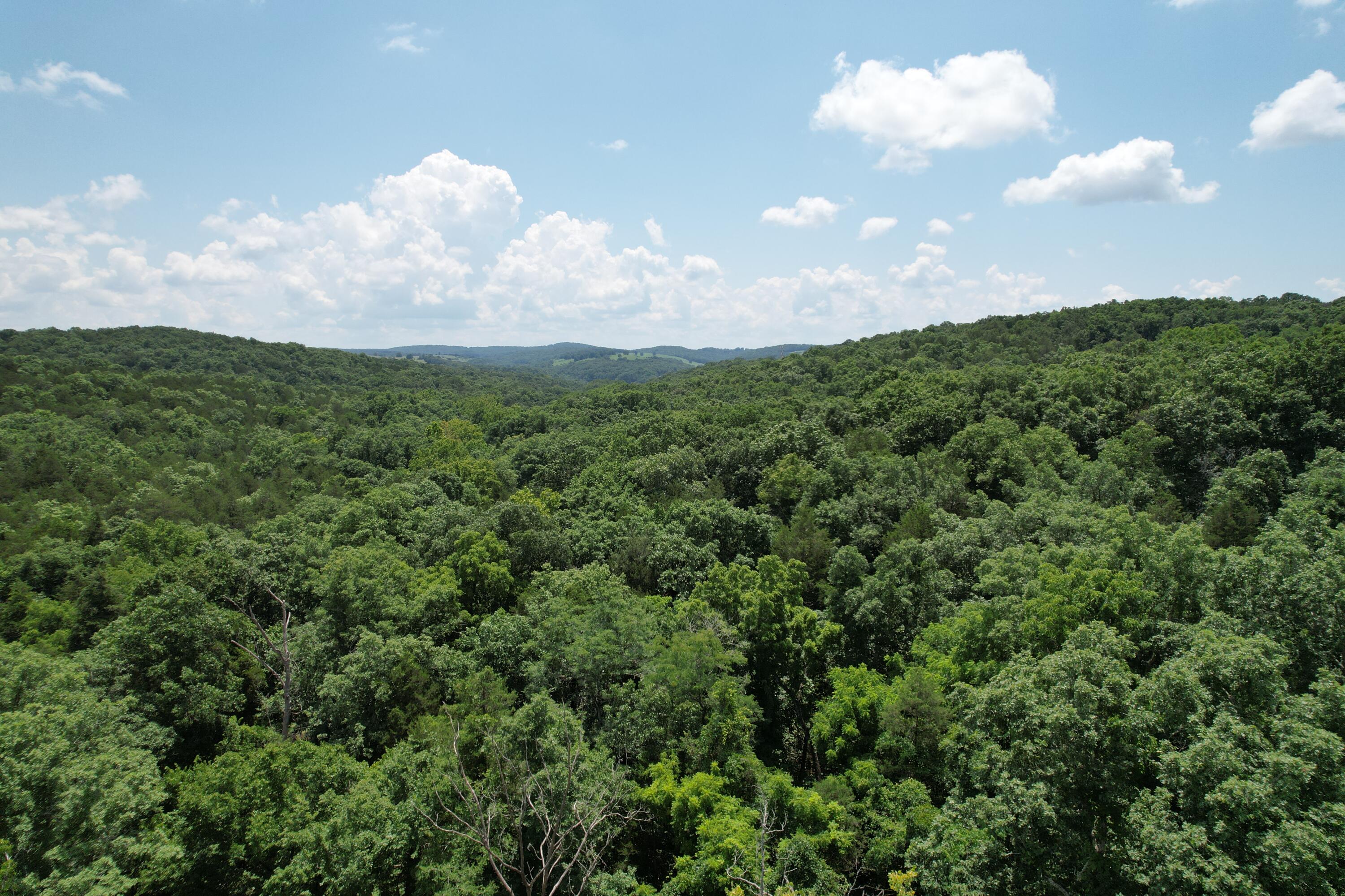 1378 State Hwy D Property Photo 40