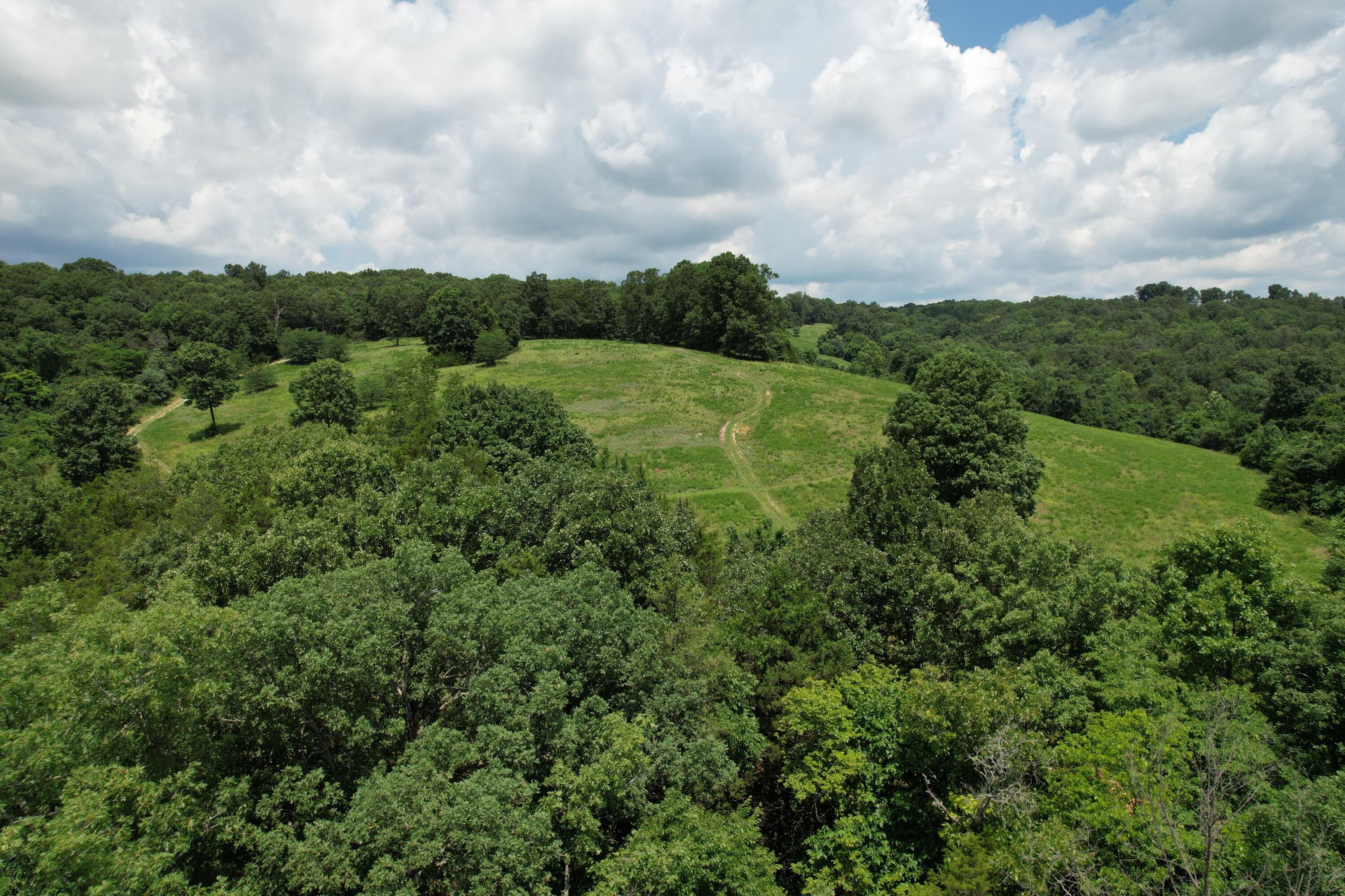 1378 State Hwy D Property Photo 41