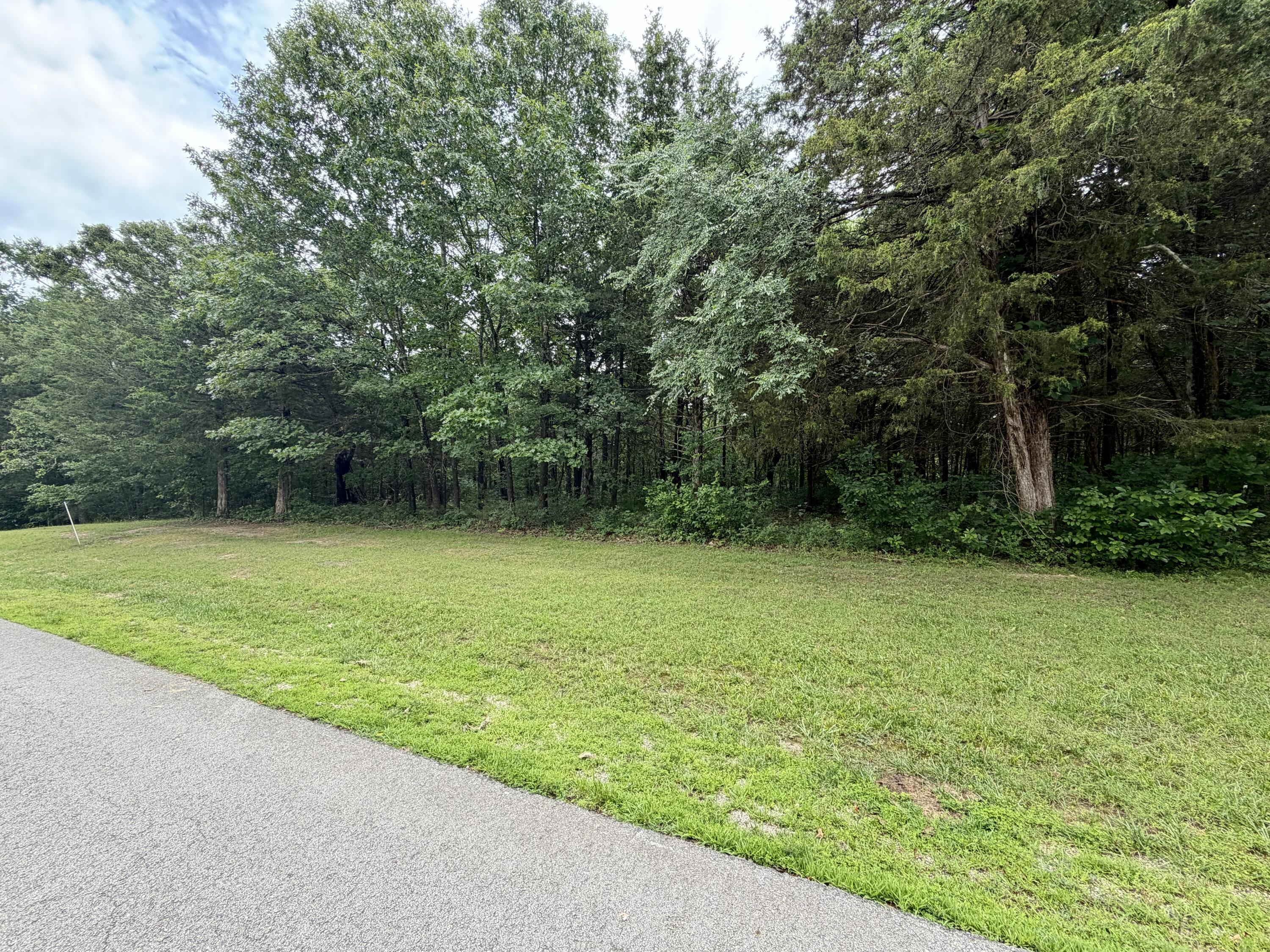 000 Green Cypress/ Eagle Pt Lt 88 Lane Property Photo 3