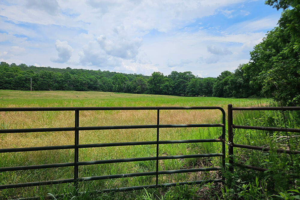 2790 Stehle Road Property Photo 97