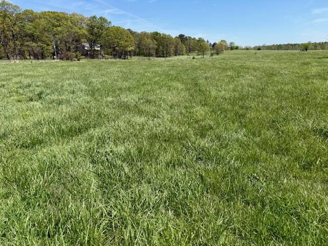 786 County Road 434 Property Photo 55