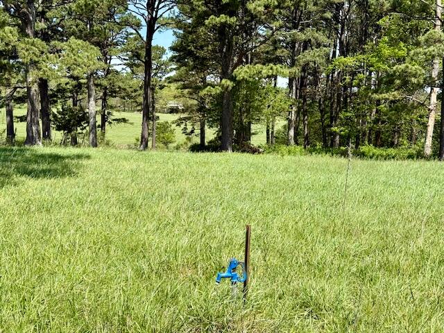 786 County Road 434 Property Photo 61