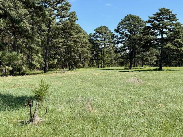 786 County Road 434 Property Photo 62
