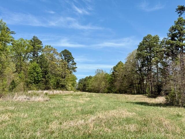 786 County Road 434 Property Photo 68