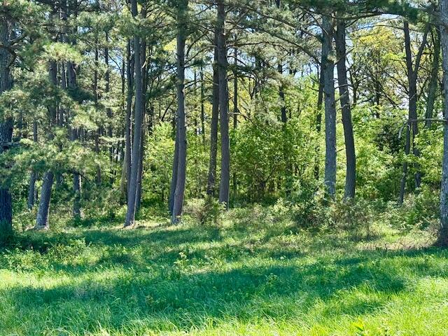 786 County Road 434 Property Photo 79