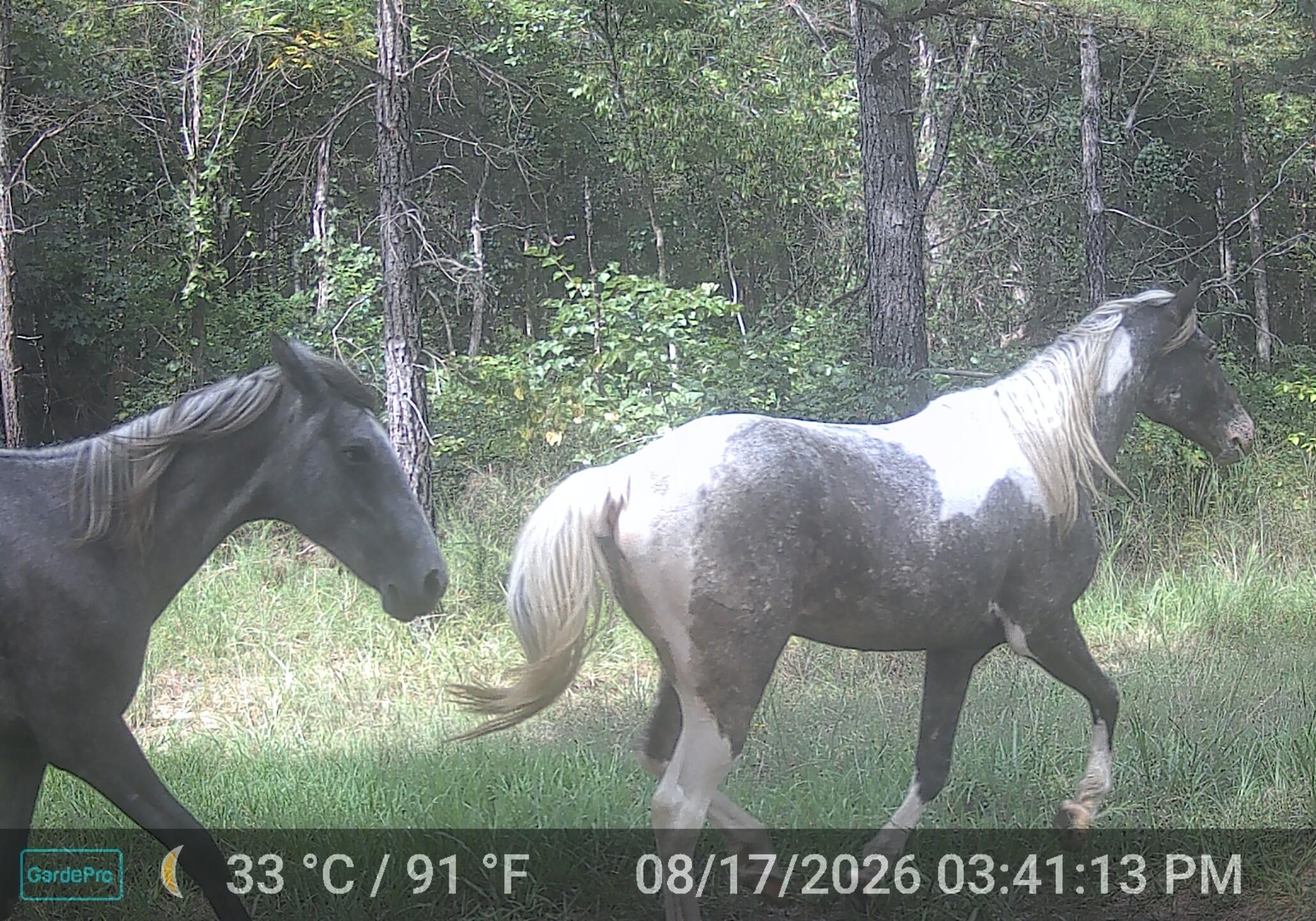 000 County Road 522 Property Photo 5