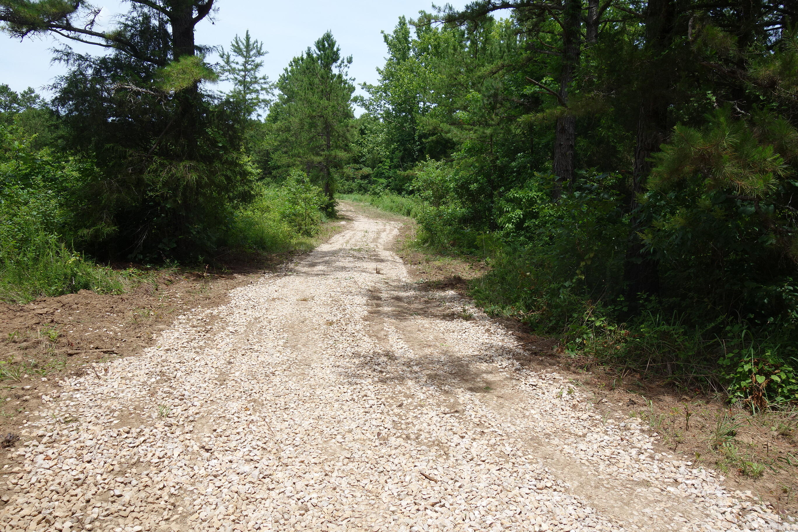 000 County Road 522 Property Photo 12