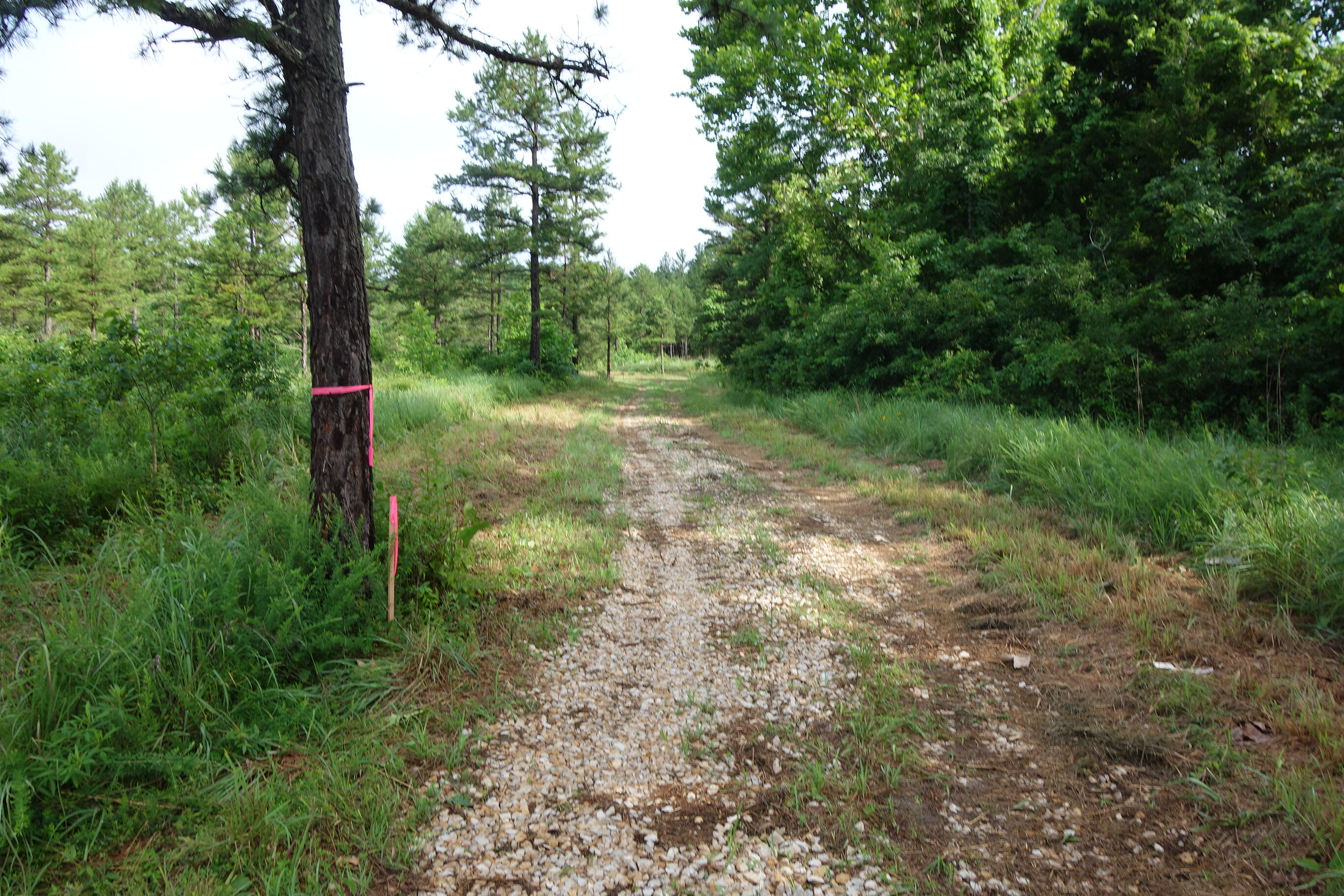 000 County Road 522 Property Photo 13