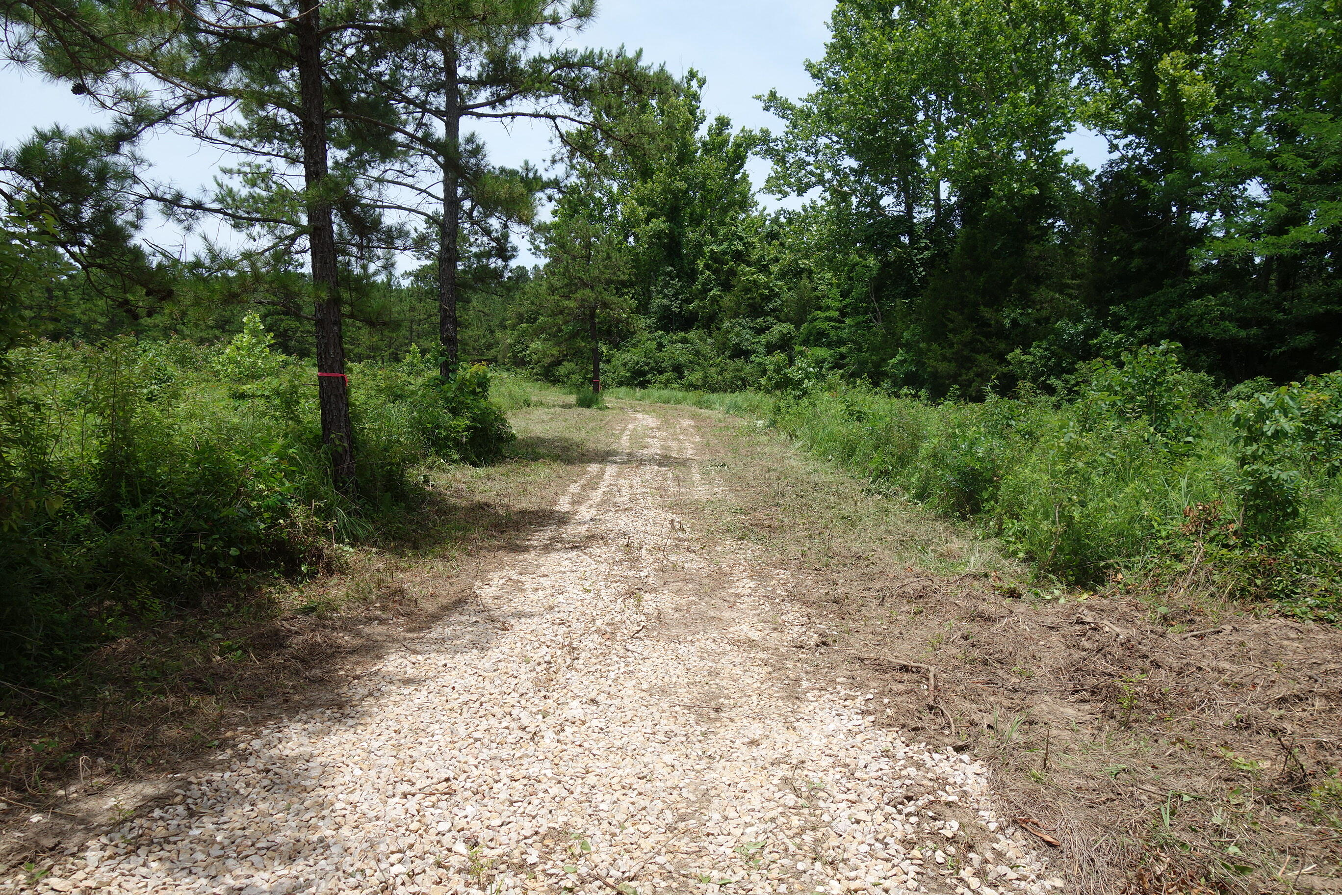000 County Road 522 Property Photo 14
