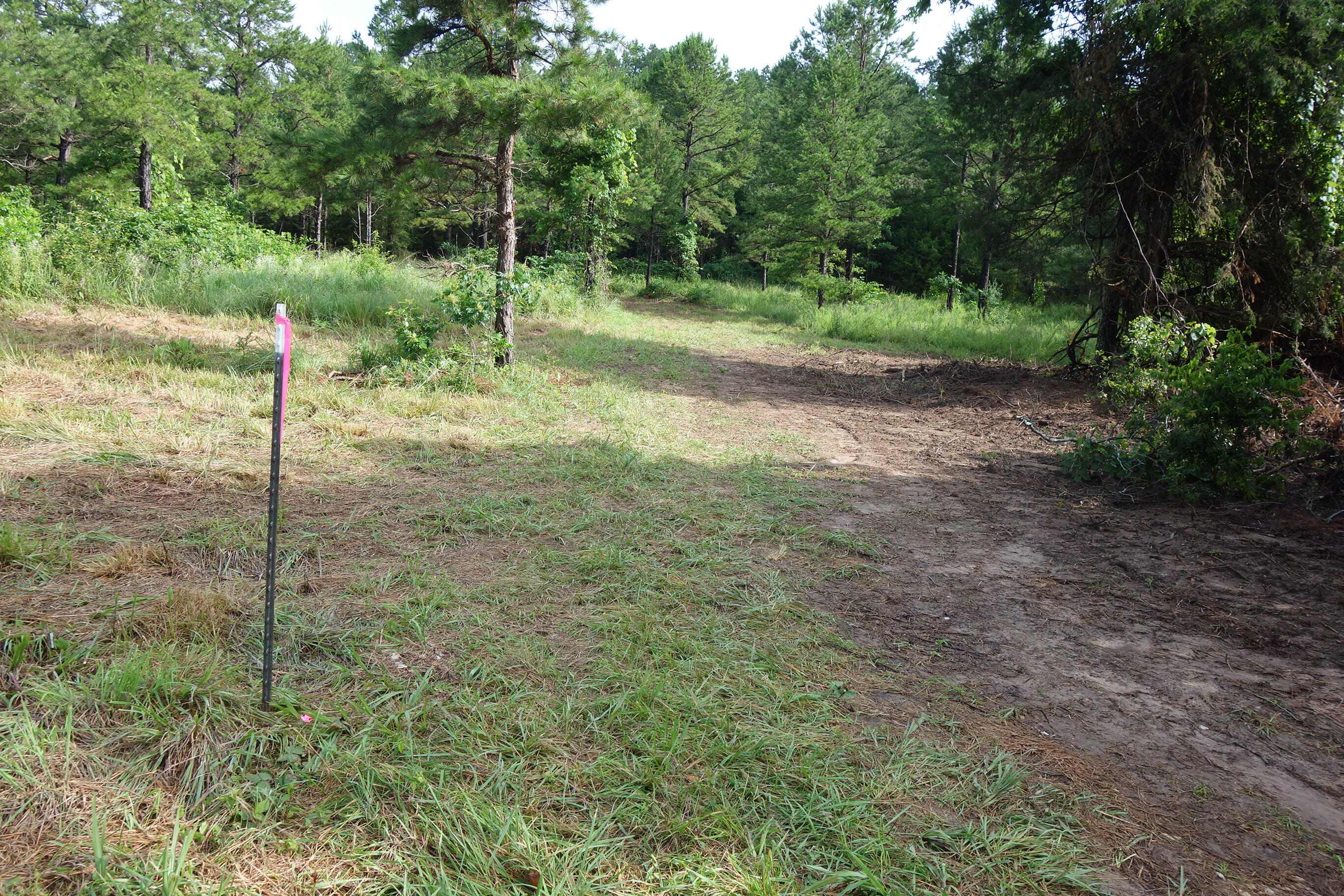 000 County Road 522 Property Photo 15