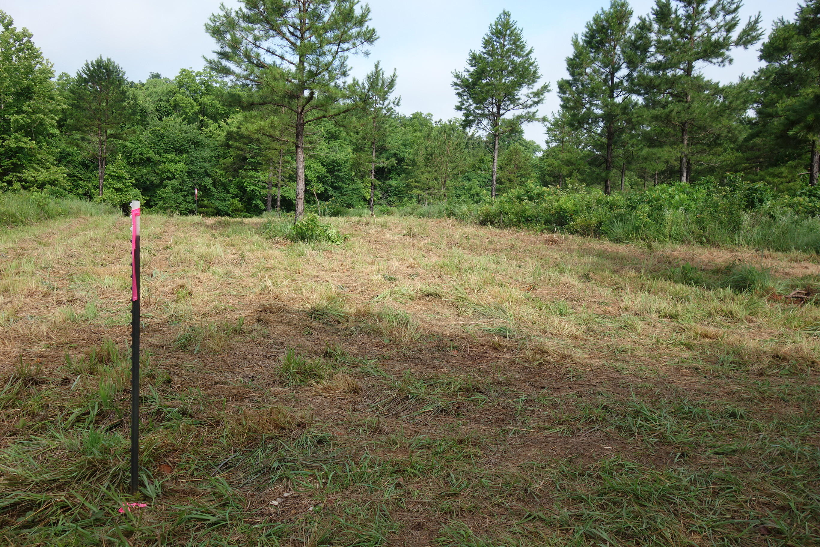 000 County Road 522 Property Photo 16