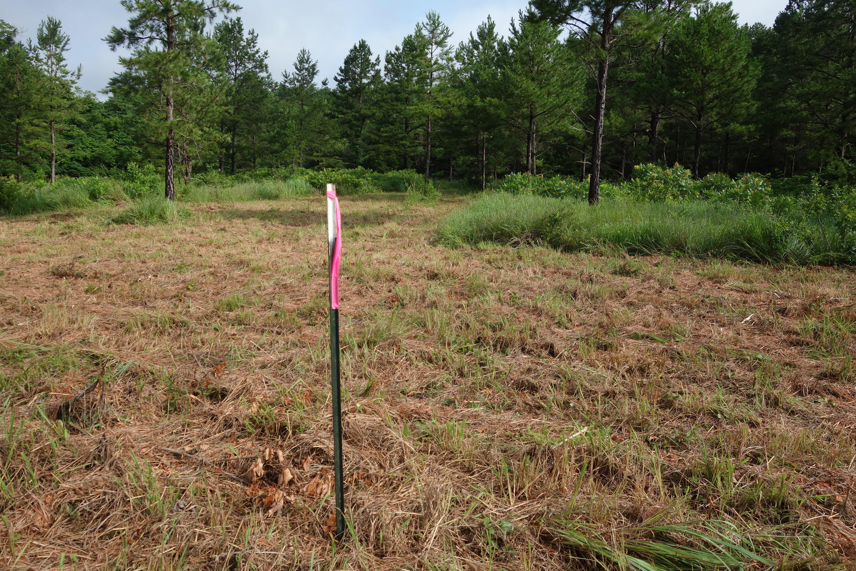 000 County Road 522 Property Photo 17