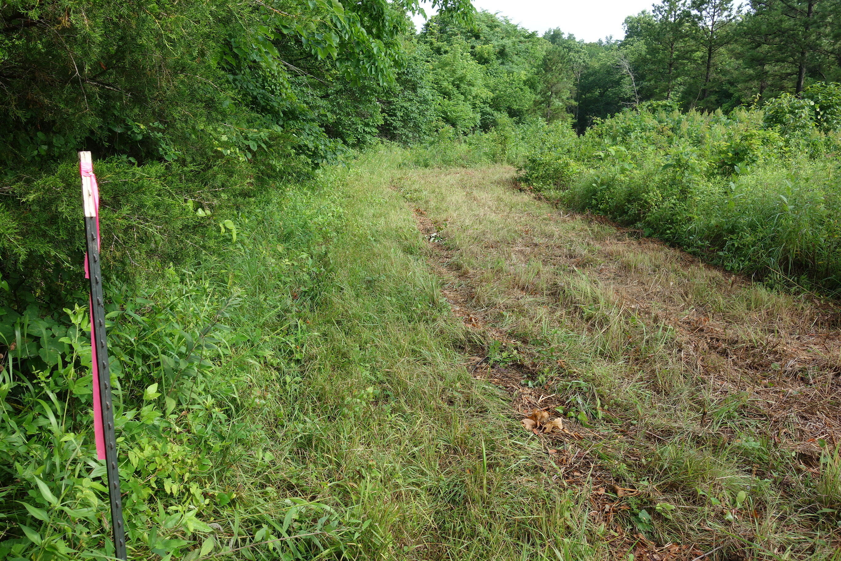 000 County Road 522 Property Photo 18