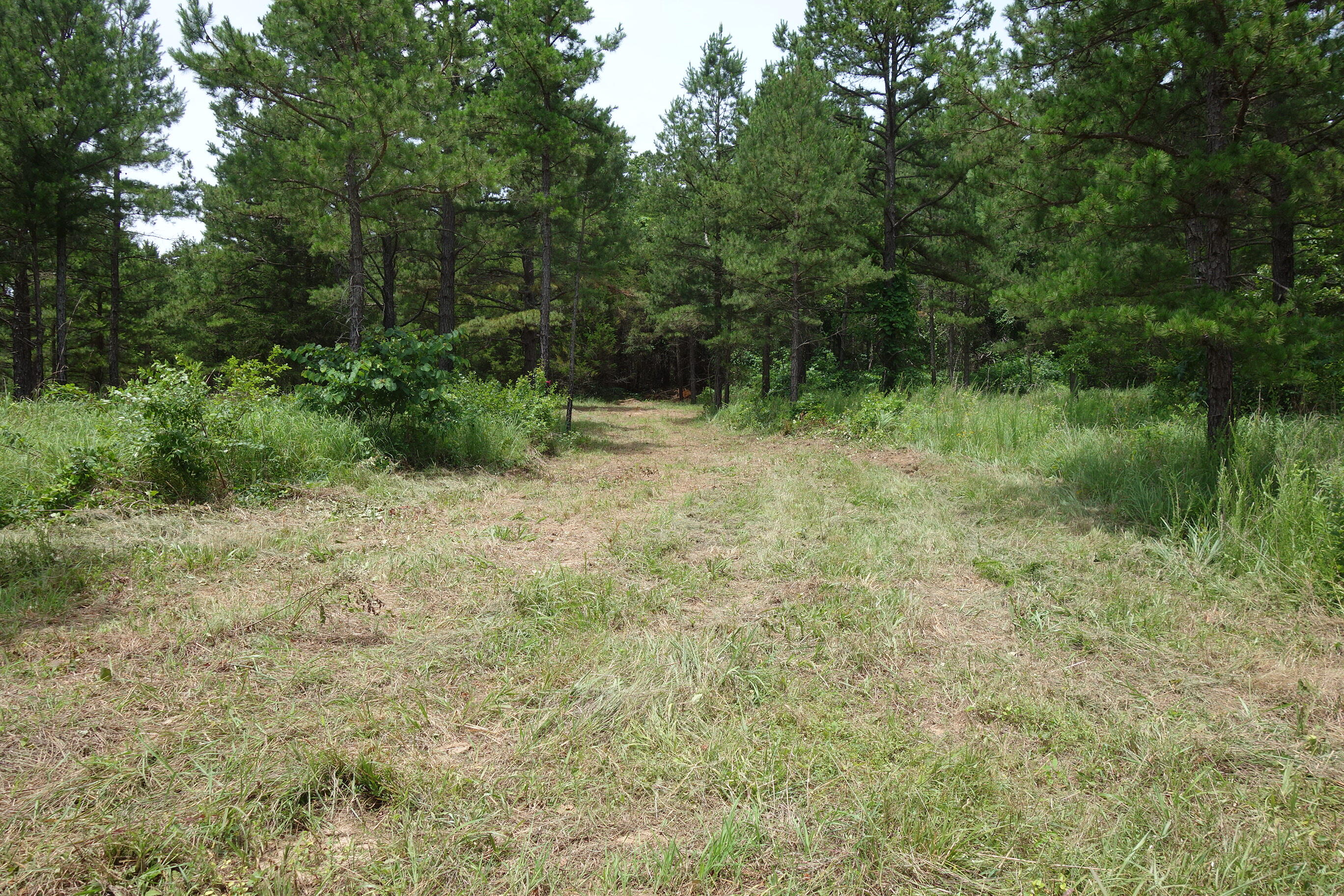 000 County Road 522 Property Photo 19