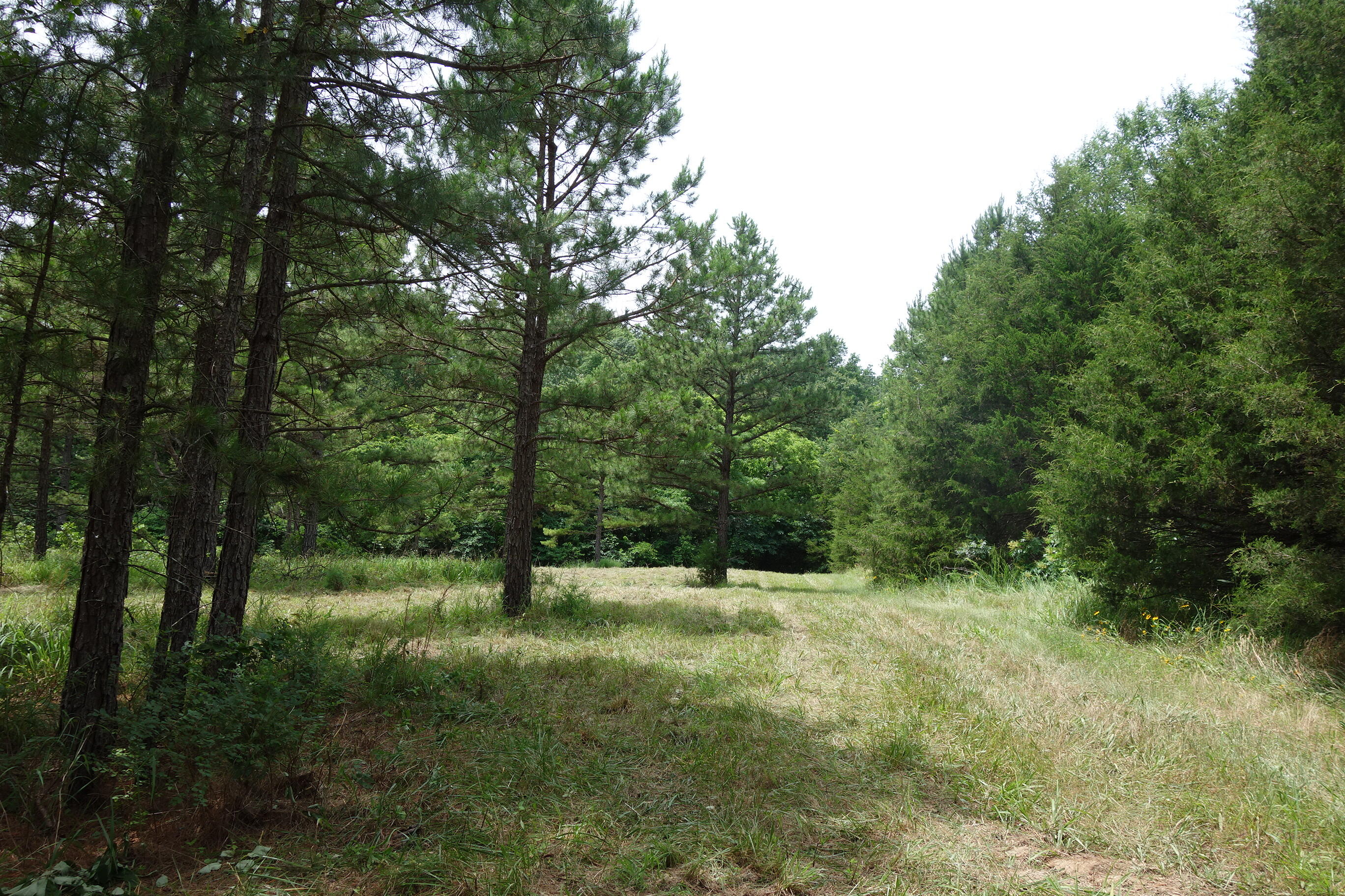 000 County Road 522 Property Photo 20
