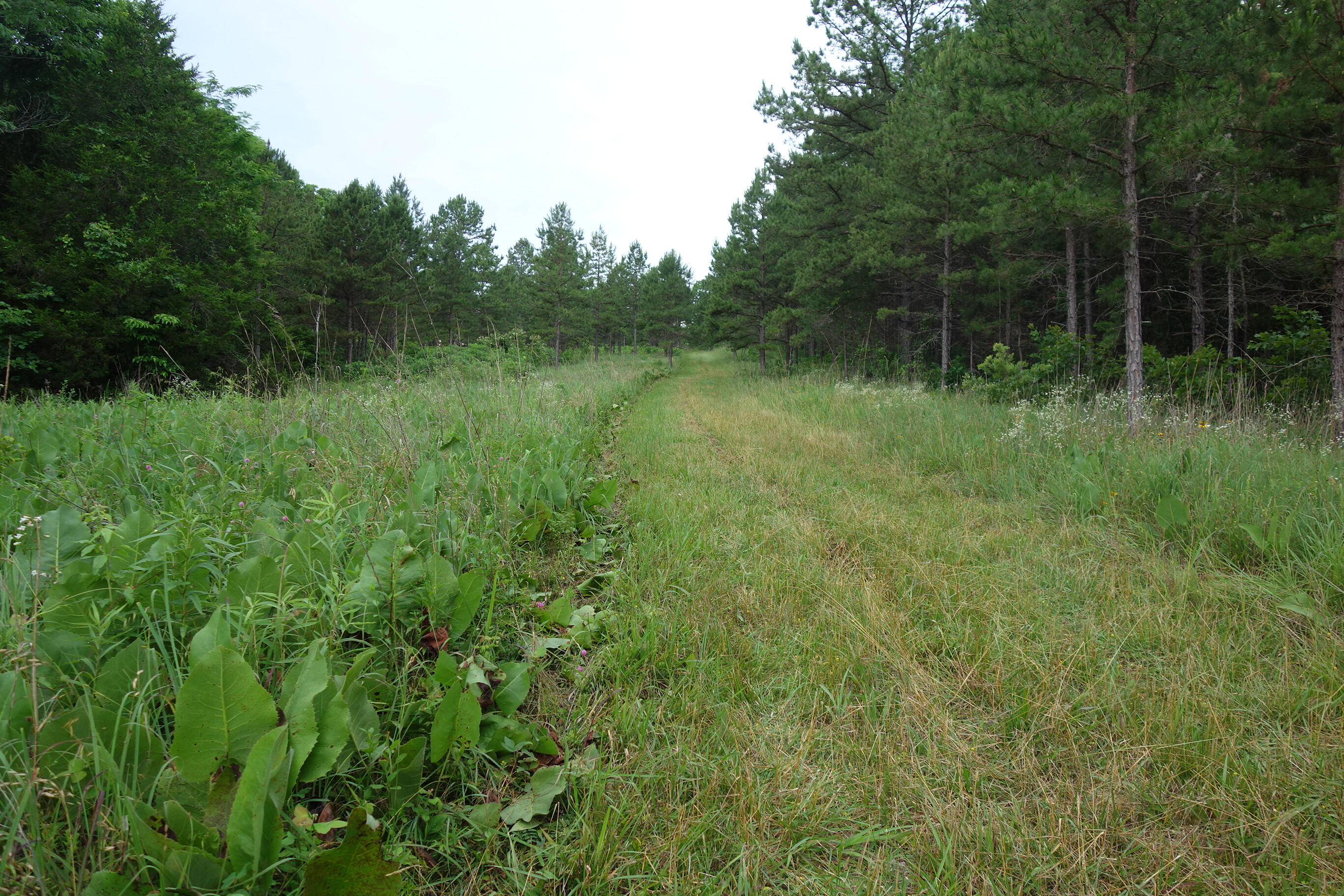000 County Road 522 Property Photo 22