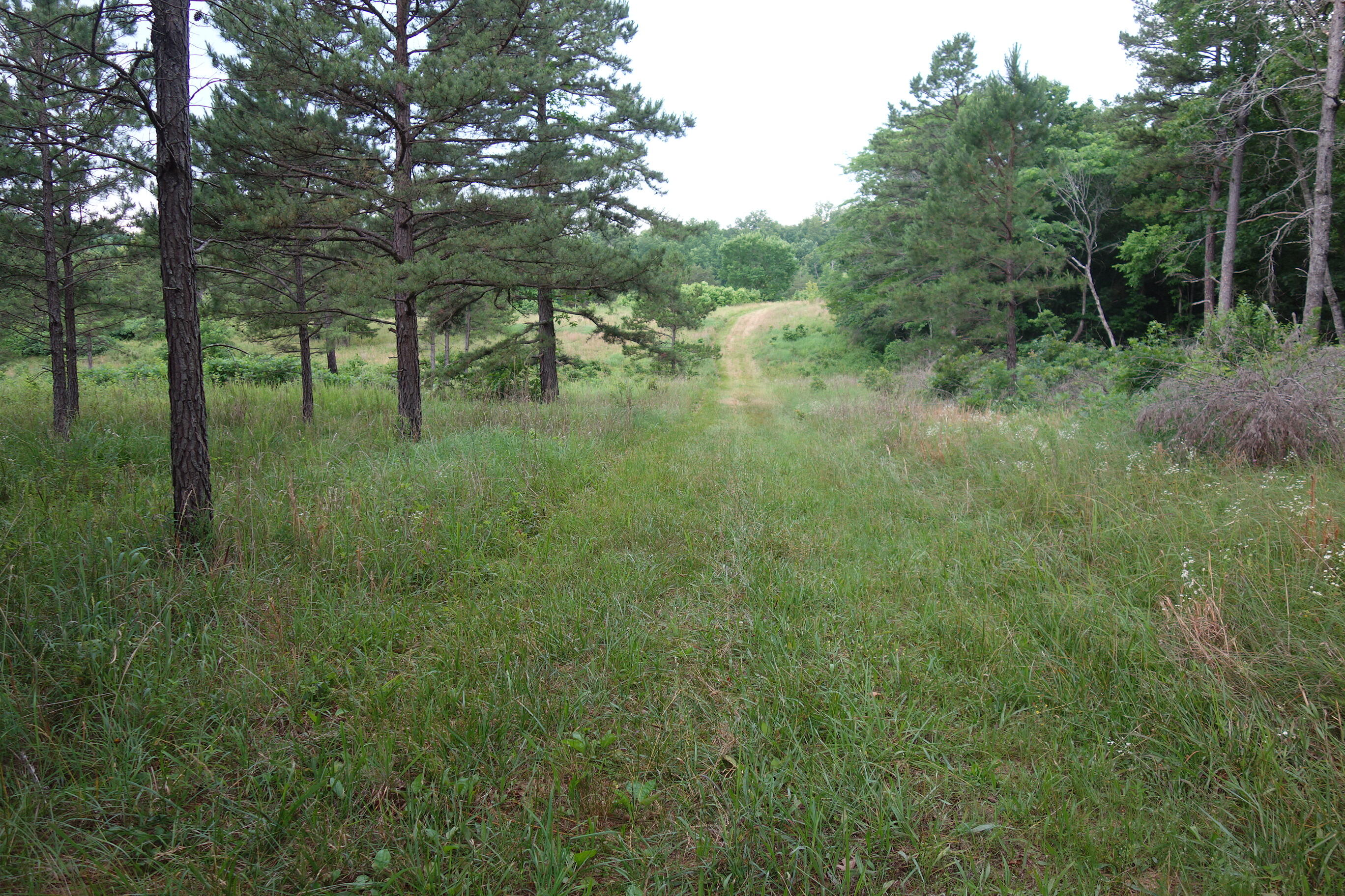 000 County Road 522 Property Photo 23