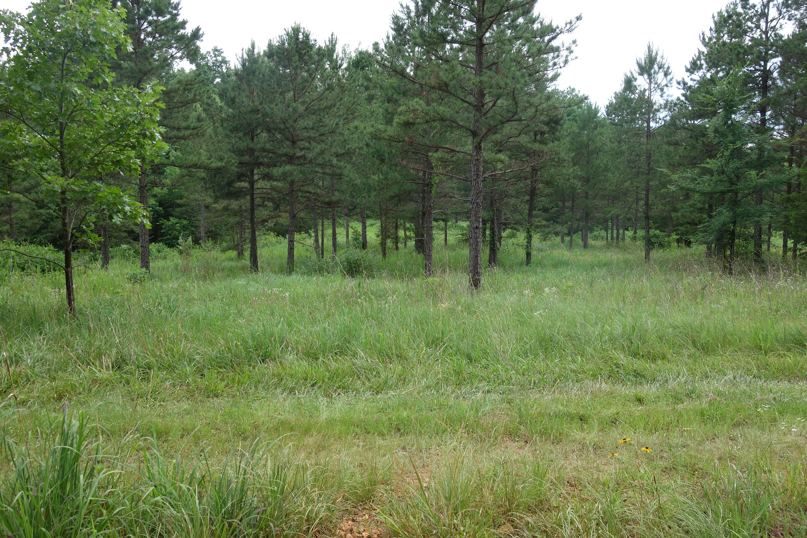 000 County Road 522 Property Photo 23