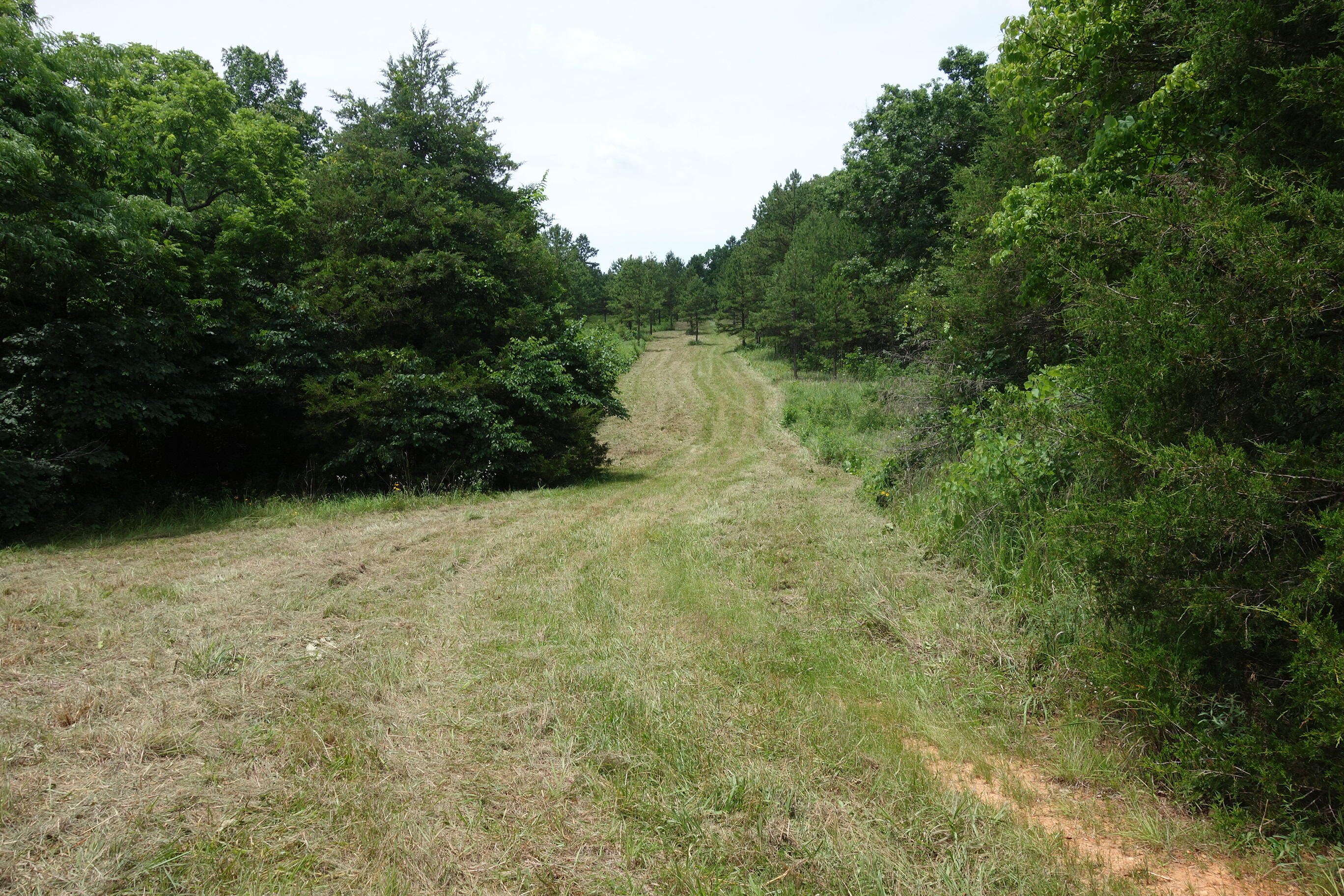 000 County Road 522 Property Photo 25