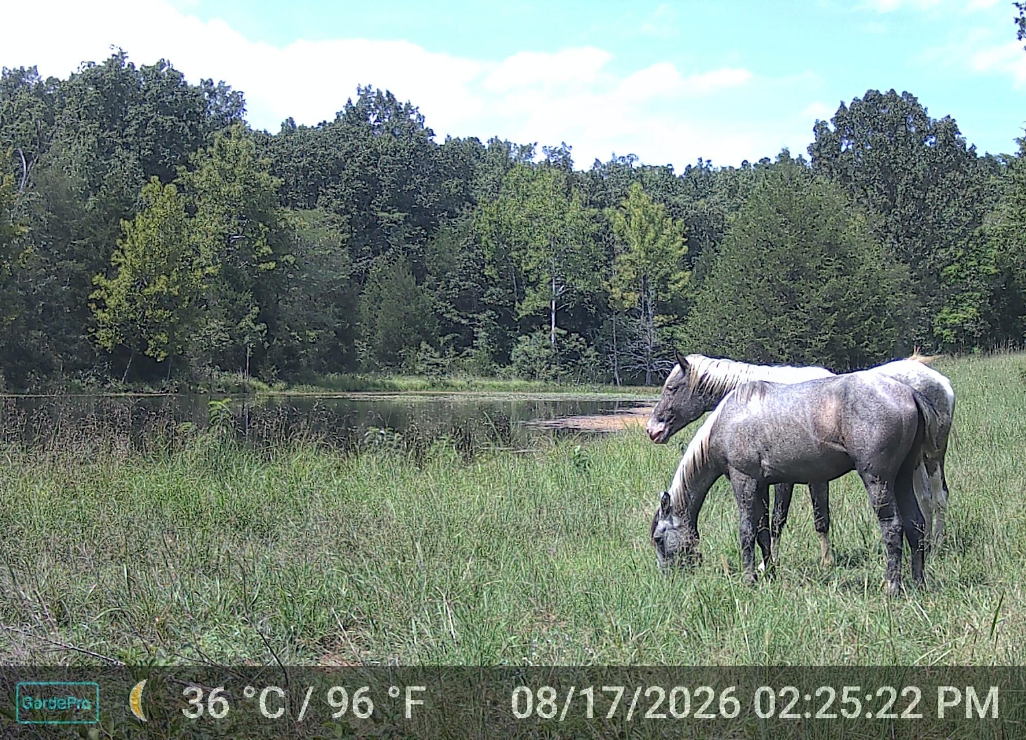 000 County Road 522 Property Photo 35