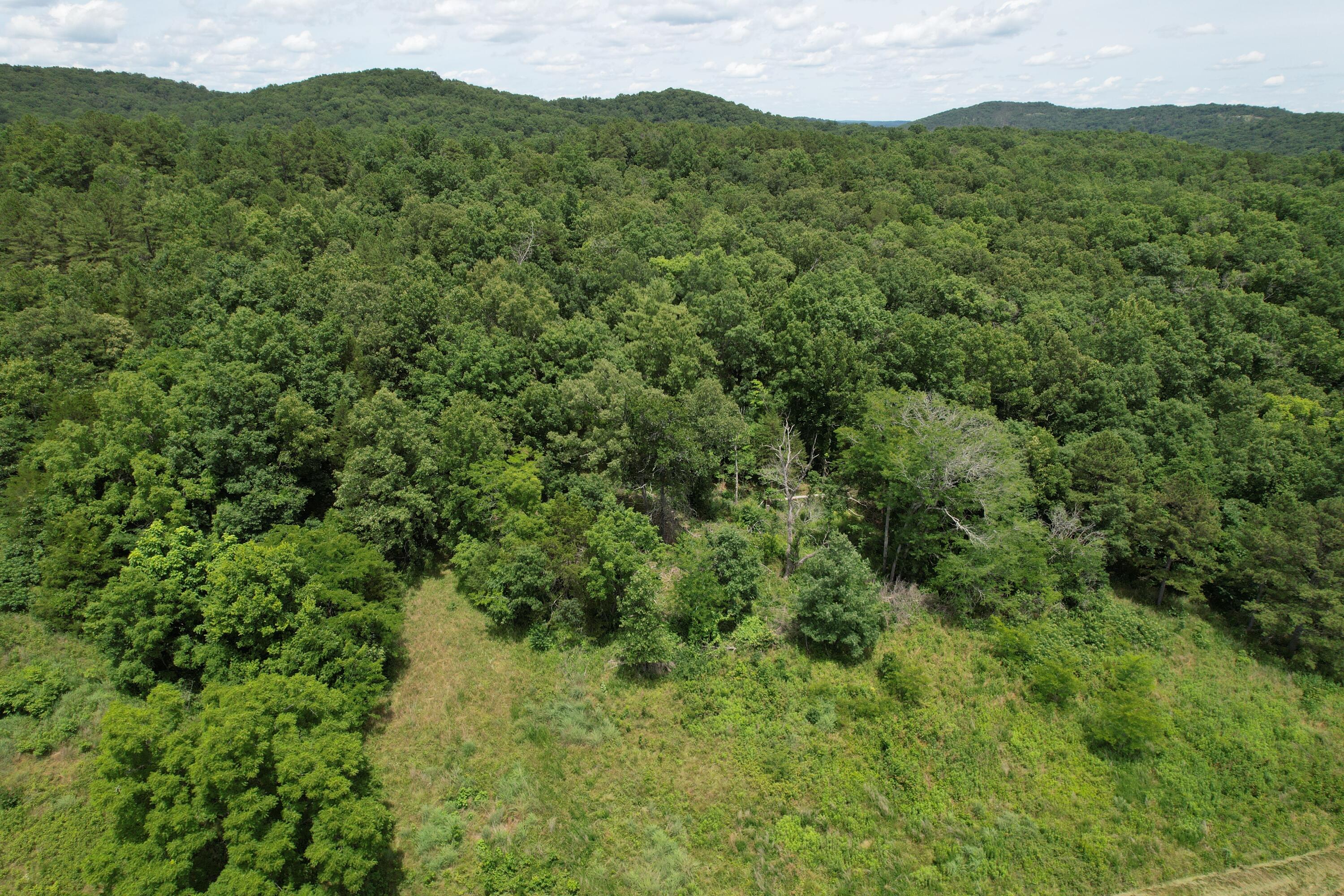 000 County Road 522 Property Photo 41